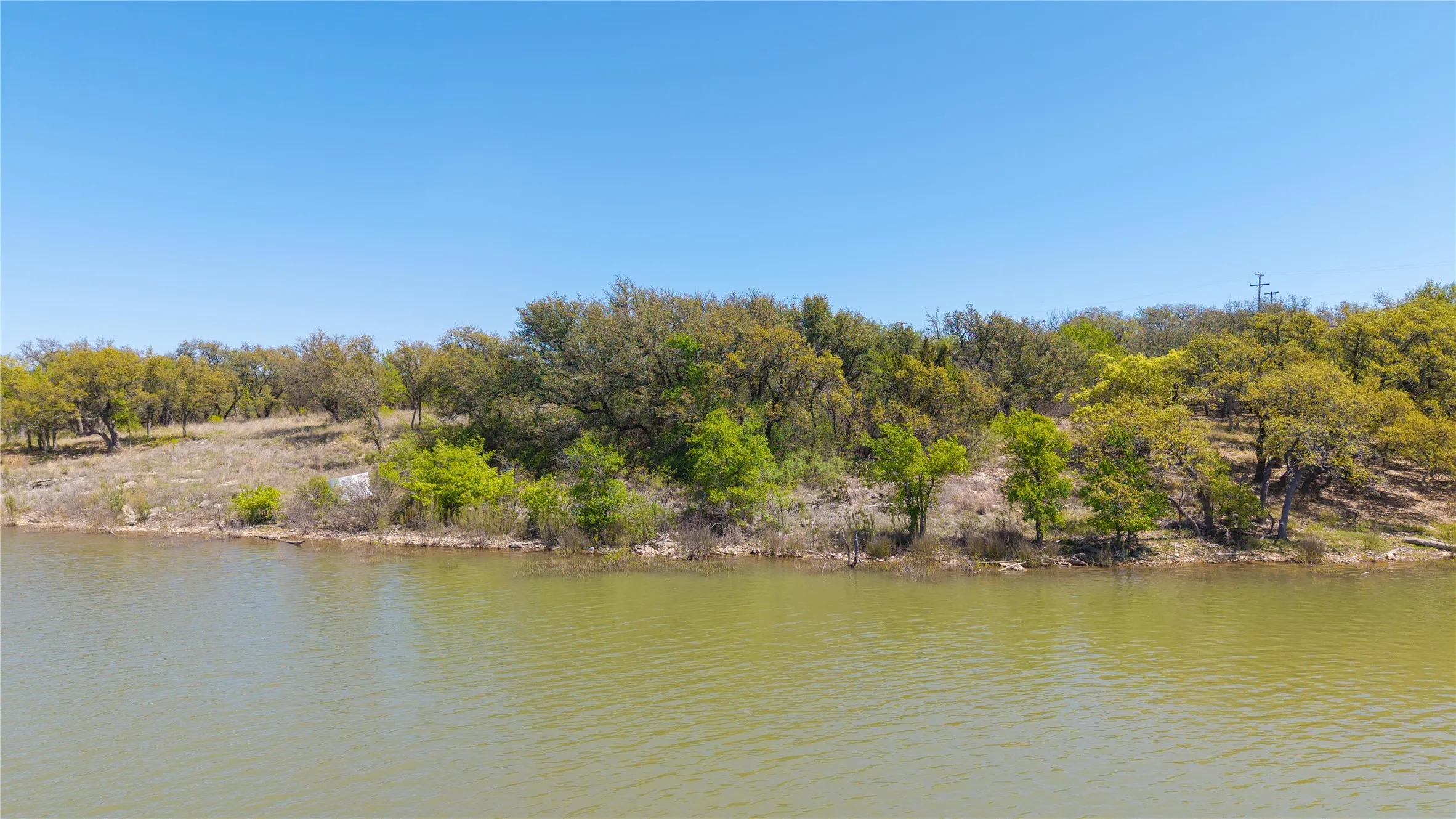 Waterfront property with mature trees and natural landscaping