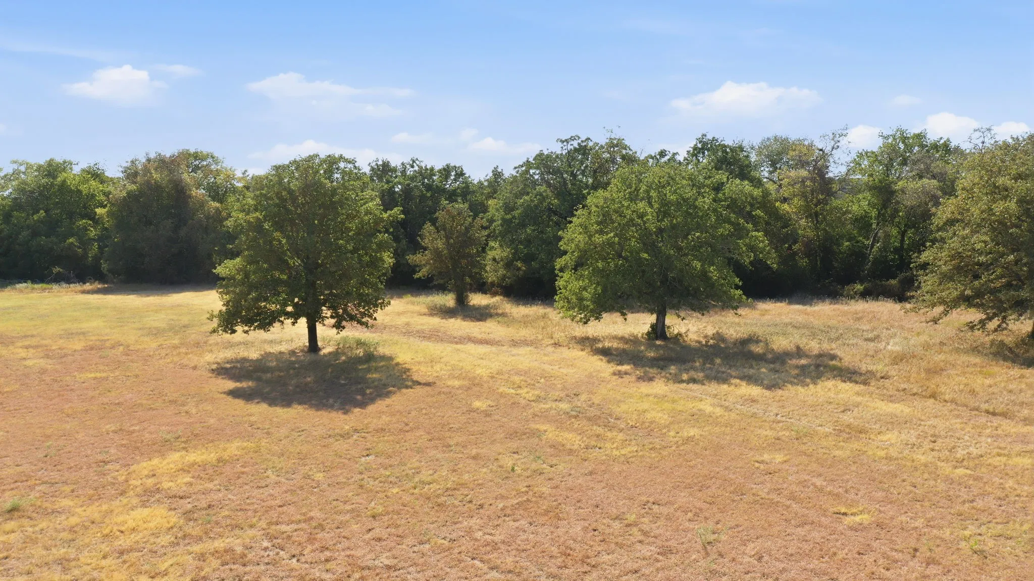 Unimproved Land For Sale in Bosque County , TBD County Road 2960 70, Kopperl, Texas 76652, 0, 0, Garage spaces, 0 Sqft, built in 0, mls#21381568, Real Estate Agent in Kopperl, Homes For Sale in Bosque county, Homes For Sale in Kopperl, Realtor in Kopperl Texas, Real Estate Brokerage Independent Realty Texas, Luminita Cordes Realtor