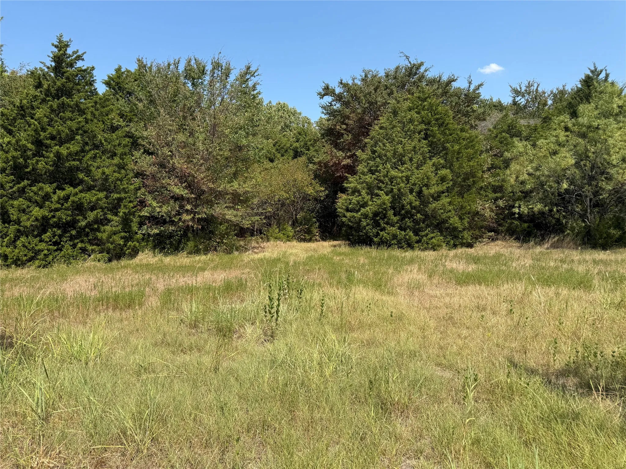 Unimproved Land For Sale in Van Zandt County , TBD I-20, Wills Point, Texas 76169, 0, 0, Garage spaces, 0 Sqft, built in 0, mls#21381828, Real Estate Agent in Wills Point, Homes For Sale in Van Zandt county, Homes For Sale in Wills Point, Realtor in Wills Point Texas, Real Estate Brokerage Independent Realty Texas, Luminita Cordes Realtor