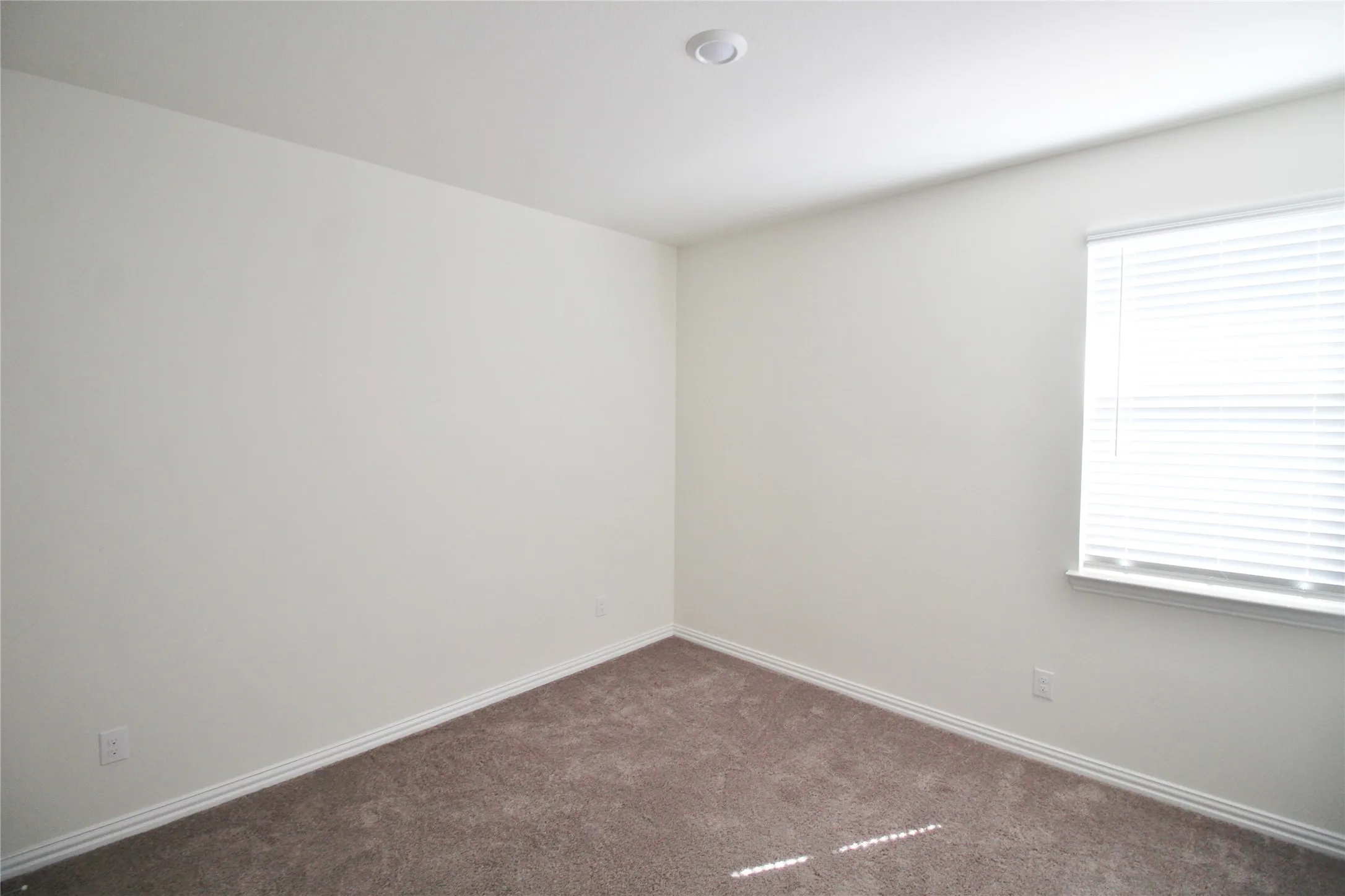 Single Family Residence For Rent in Collin County , 1610 Fields View Drive, Anna, Texas 75409, 4 Bedroom, 2 Bathroom, 2 Garage spaces, 1,835 Sqft, built in 2020, mls#21381808, Real Estate Agent in Anna, Homes For Rent in Collin county, Homes For Rent in Anna, Realtor in Anna Texas, Real Estate Brokerage Independent Realty Texas, Luminita Cordes Realtor