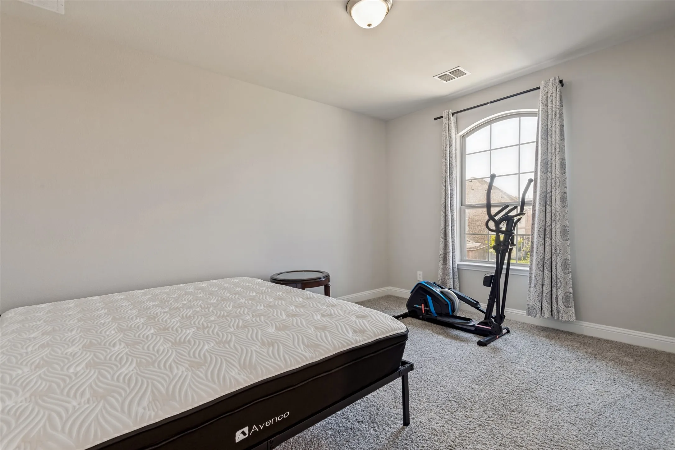 Arched window with gridded panes, ceiling-mounted light fixture, and light-toned wall paint