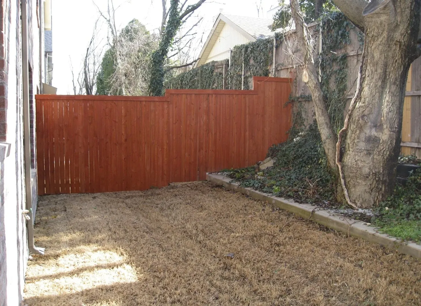 Private backyard area featuring a wood fence, mature tree, and concrete curbing