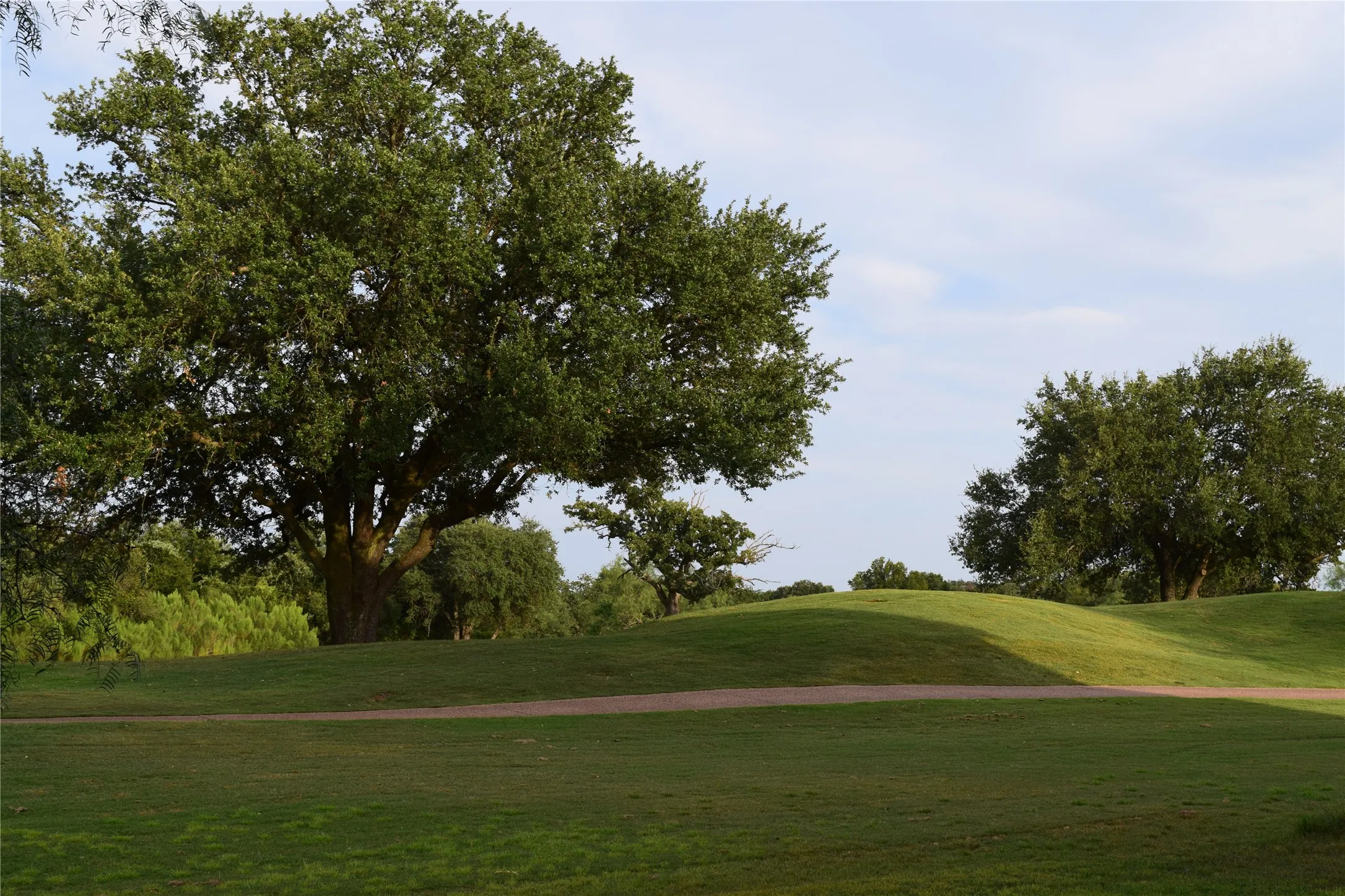 View of New Golf Course trail from back patio.