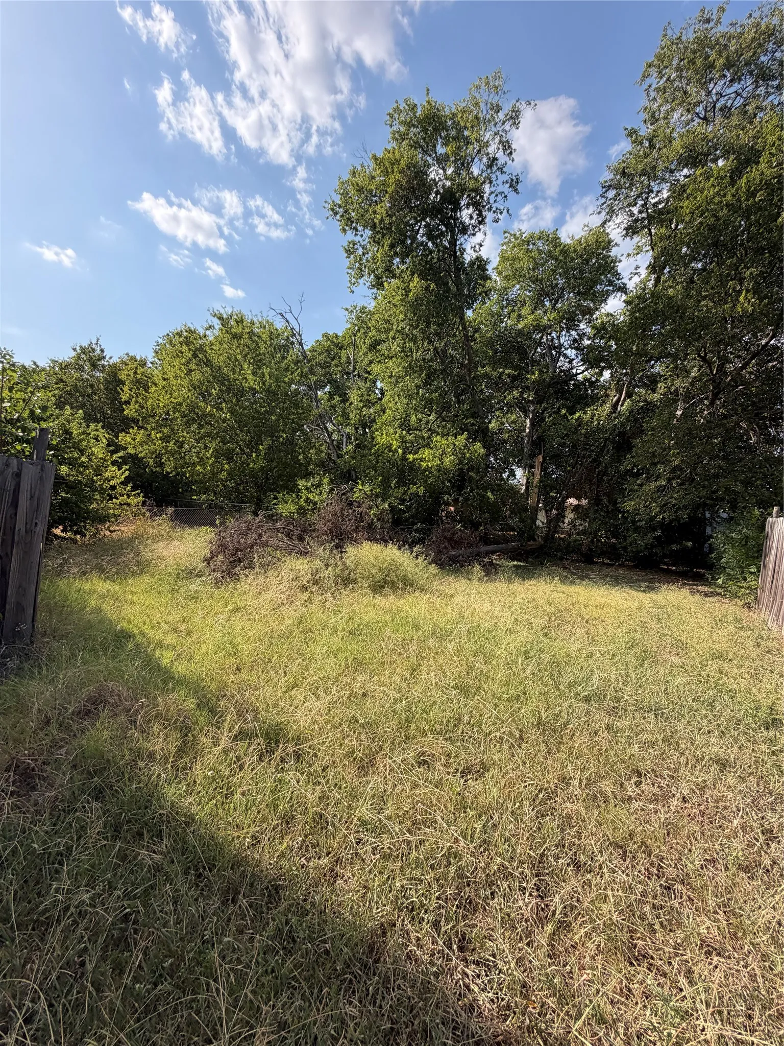 Expansive lot featuring mature trees and established greenery
