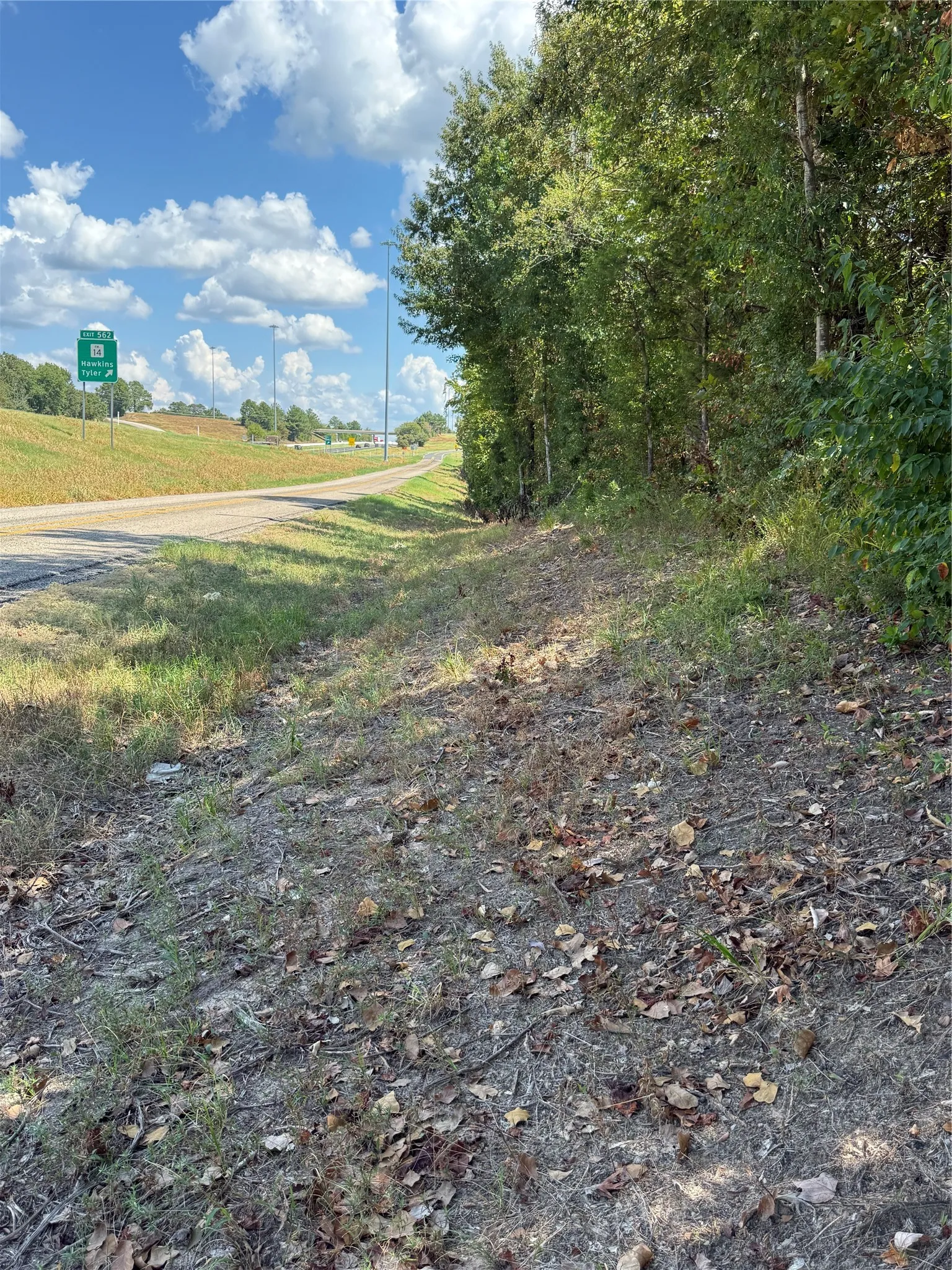 Unimproved Land For Sale in Smith County , 2605 20 W, Tyler, Texas 75757, 0, 0, Garage spaces, 0 Sqft, built in 0, mls#21381975, Real Estate Agent in Tyler, Homes For Sale in Smith county, Homes For Sale in Tyler, Realtor in Tyler Texas, Real Estate Brokerage Independent Realty Texas, Luminita Cordes Realtor