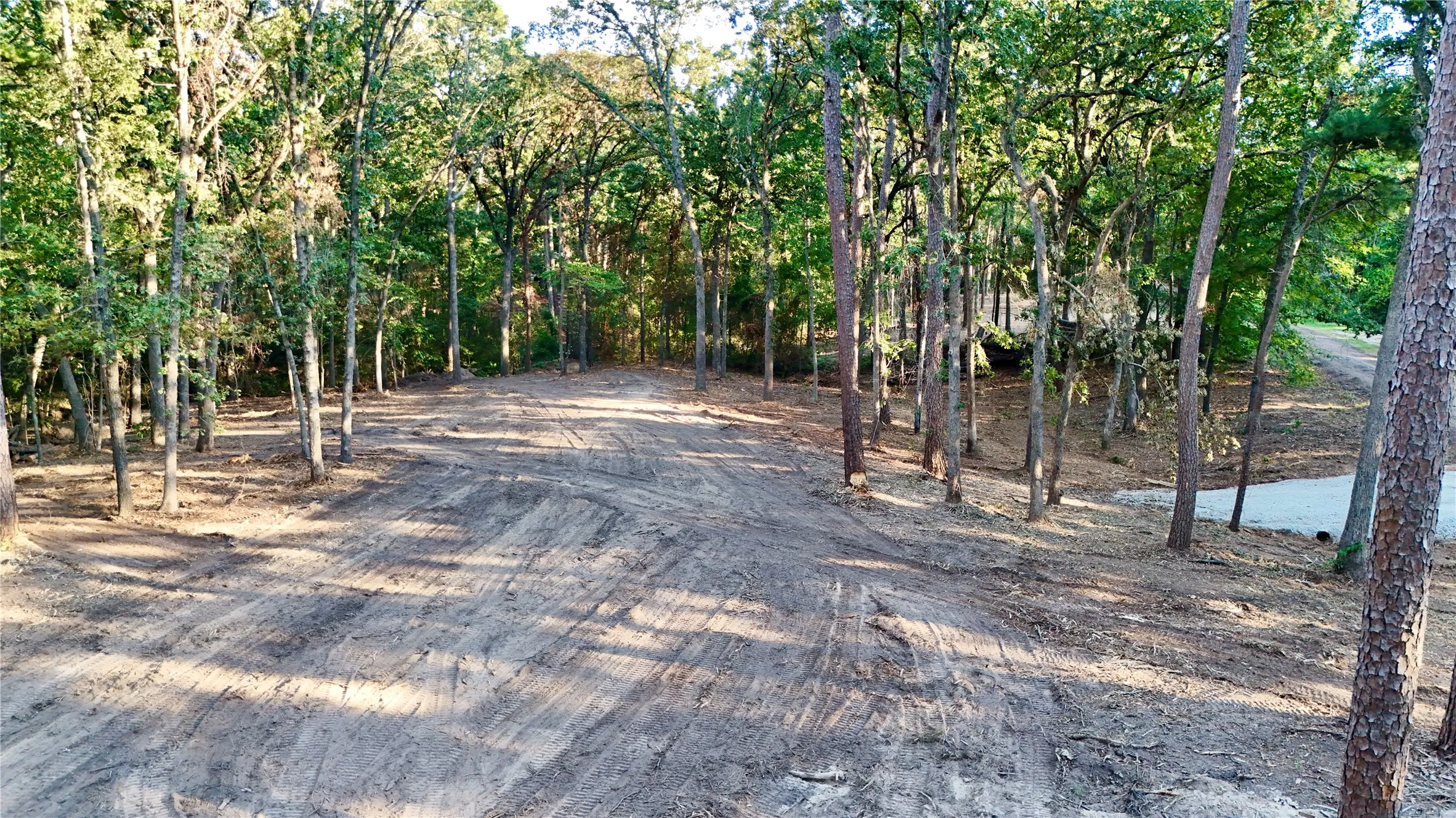 Unimproved Land For Sale in Franklin (TX) County , TBD Ermine Court, Mount Vernon, Texas 75457, 0, 0, Garage spaces, 0 Sqft, built in 0, mls#21381991, Real Estate Agent in Mount Vernon, Homes For Sale in Franklin (TX) county, Homes For Sale in Mount Vernon, Realtor in Mount Vernon Texas, Real Estate Brokerage Independent Realty Texas, Luminita Cordes Realtor