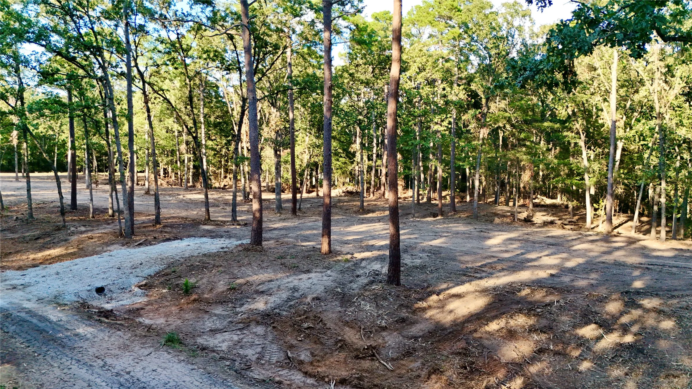 Unimproved Land For Sale in Franklin (TX) County , TBD Ermine Court, Mount Vernon, Texas 75457, 0, 0, Garage spaces, 0 Sqft, built in 0, mls#21381991, Real Estate Agent in Mount Vernon, Homes For Sale in Franklin (TX) county, Homes For Sale in Mount Vernon, Realtor in Mount Vernon Texas, Real Estate Brokerage Independent Realty Texas, Luminita Cordes Realtor