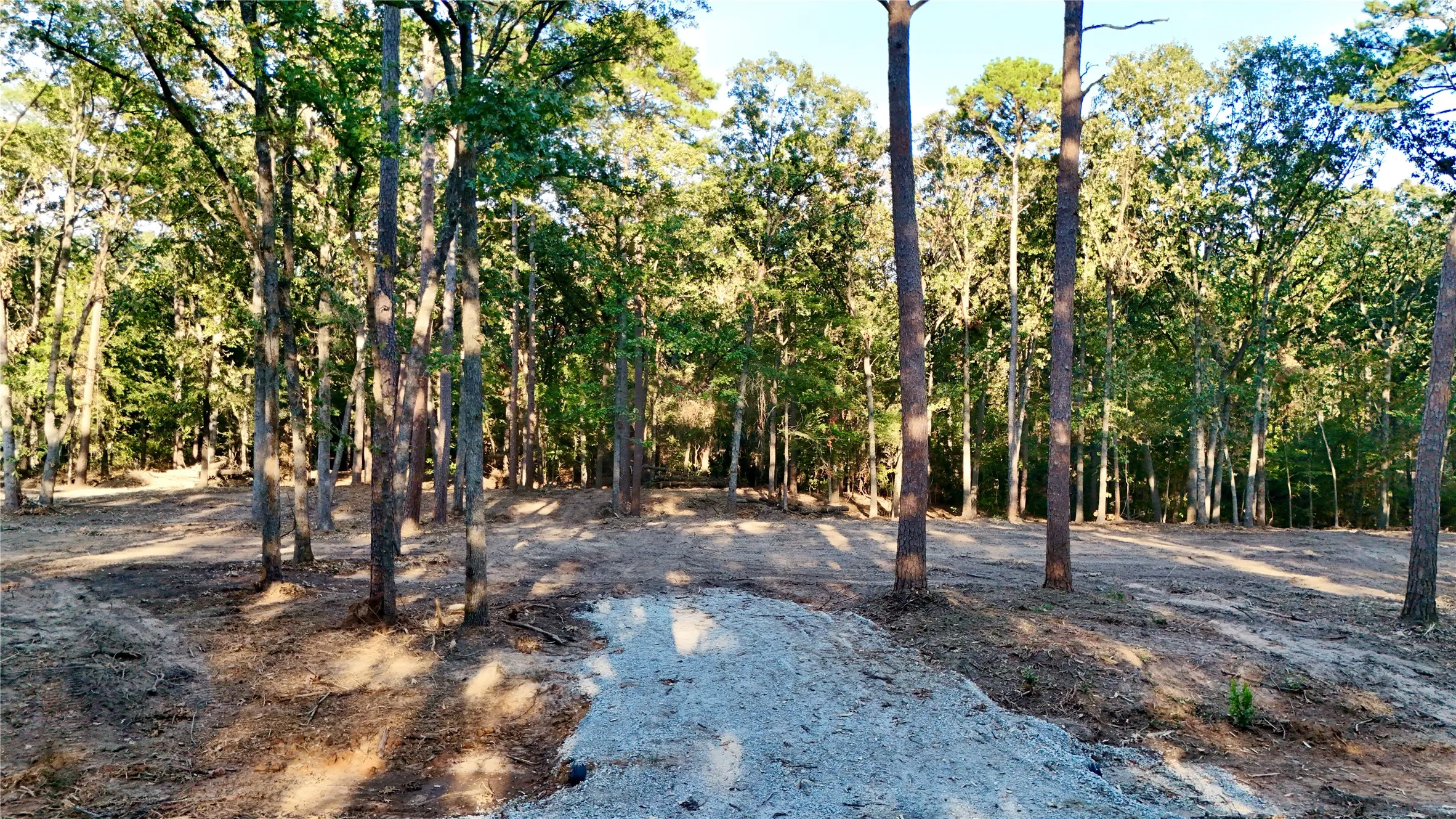 Unimproved Land For Sale in Franklin (TX) County , TBD Ermine Court, Mount Vernon, Texas 75457, 0, 0, Garage spaces, 0 Sqft, built in 0, mls#21381991, Real Estate Agent in Mount Vernon, Homes For Sale in Franklin (TX) county, Homes For Sale in Mount Vernon, Realtor in Mount Vernon Texas, Real Estate Brokerage Independent Realty Texas, Luminita Cordes Realtor