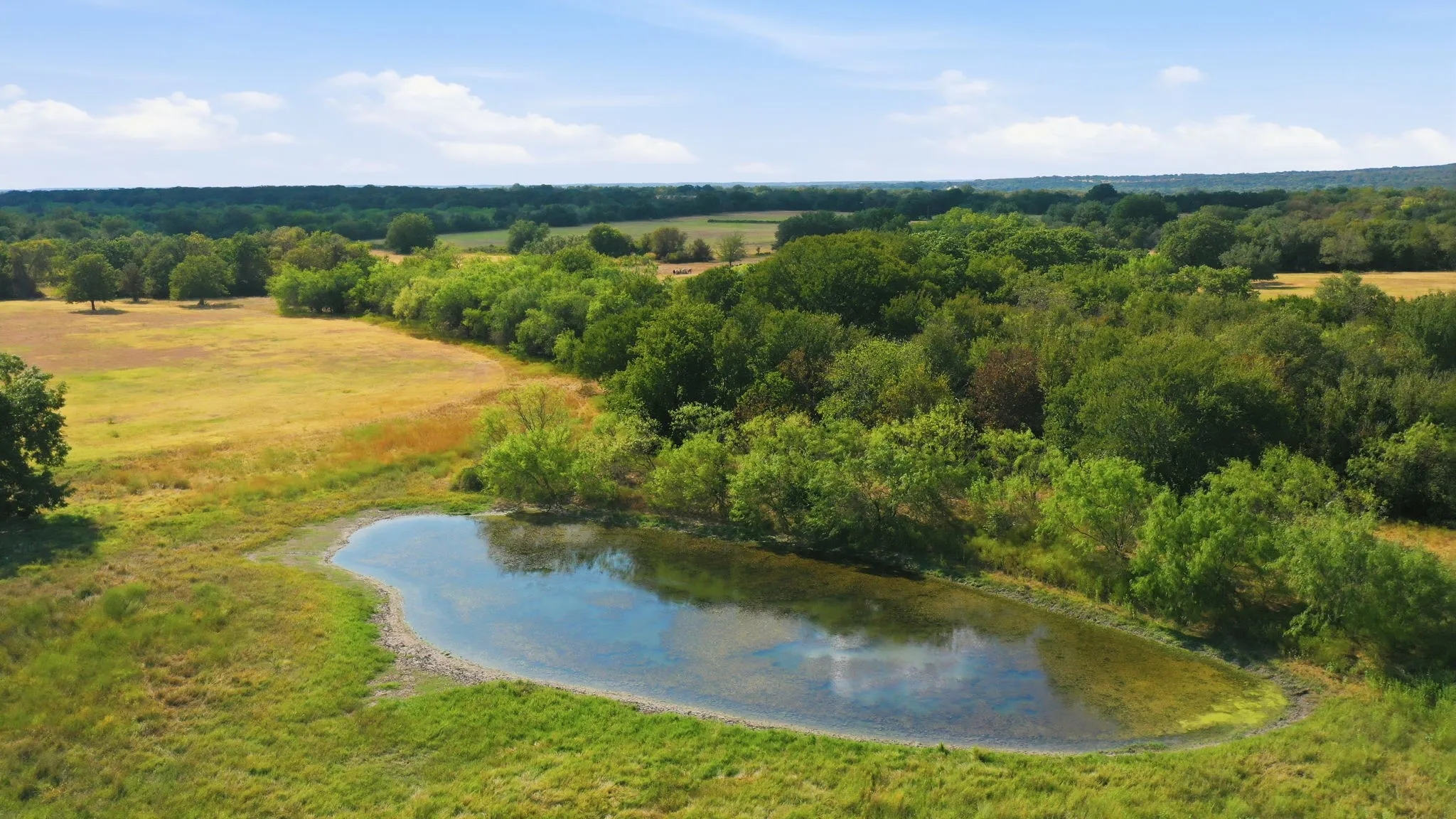 Unimproved Land For Sale in Bosque County , TBD County Road 2960 4, Kopperl, Texas 76652, 0, 0, Garage spaces, 0 Sqft, built in 0, mls#21381977, Real Estate Agent in Kopperl, Homes For Sale in Bosque county, Homes For Sale in Kopperl, Realtor in Kopperl Texas, Real Estate Brokerage Independent Realty Texas, Luminita Cordes Realtor