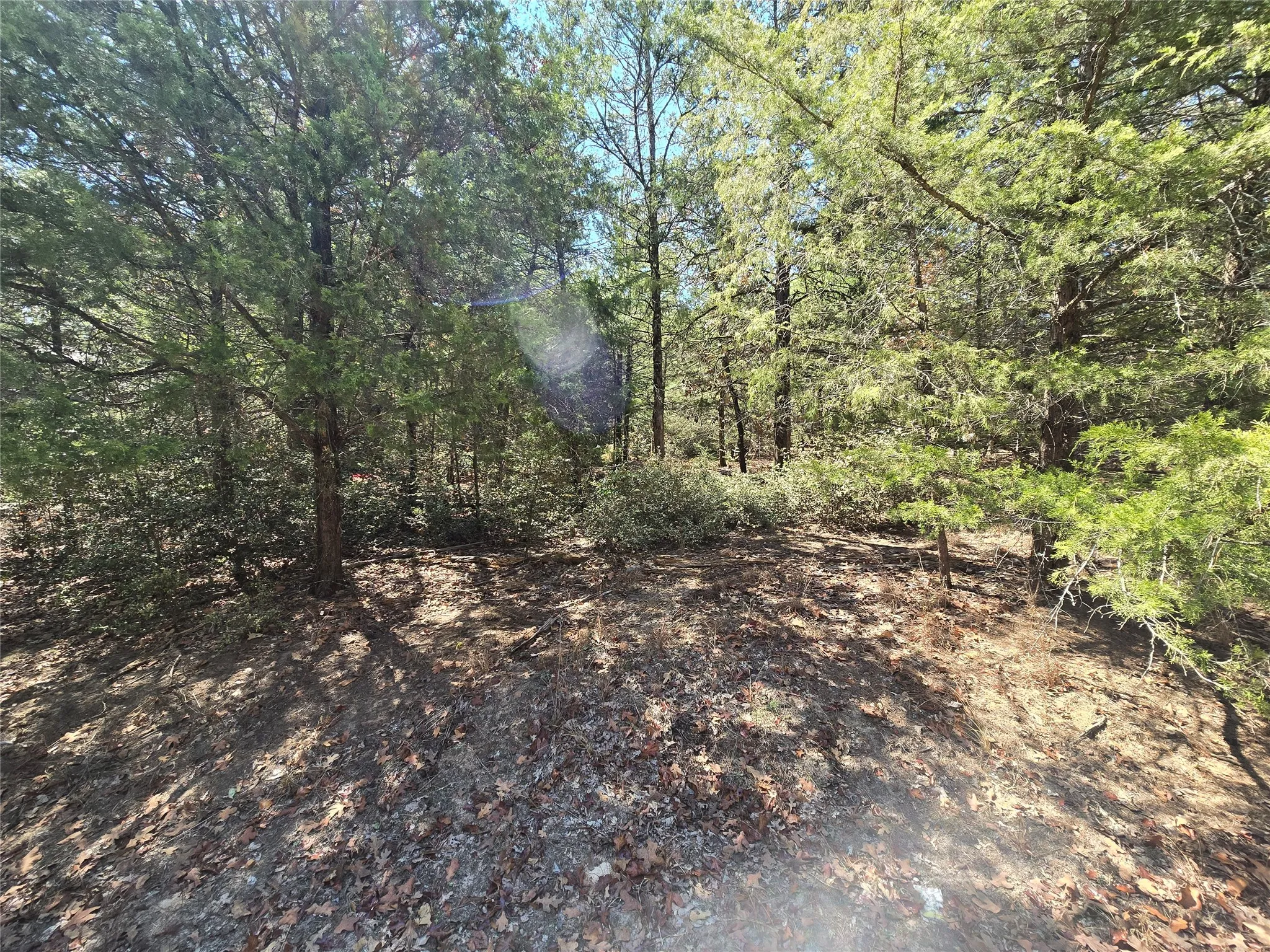 Single Family Residence For Sale in Wood County , 162 Cypress Cove, Holly Lake Ranch, Texas 75765, 2 Bedroom, 2 Bathroom, Garage spaces, 1,326 Sqft, built in 2001, mls#21381385, Real Estate Agent in Holly Lake Ranch, Homes For Sale in Wood county, Homes For Sale in Holly Lake Ranch, Realtor in Holly Lake Ranch Texas, Real Estate Brokerage Independent Realty Texas, Luminita Cordes Realtor