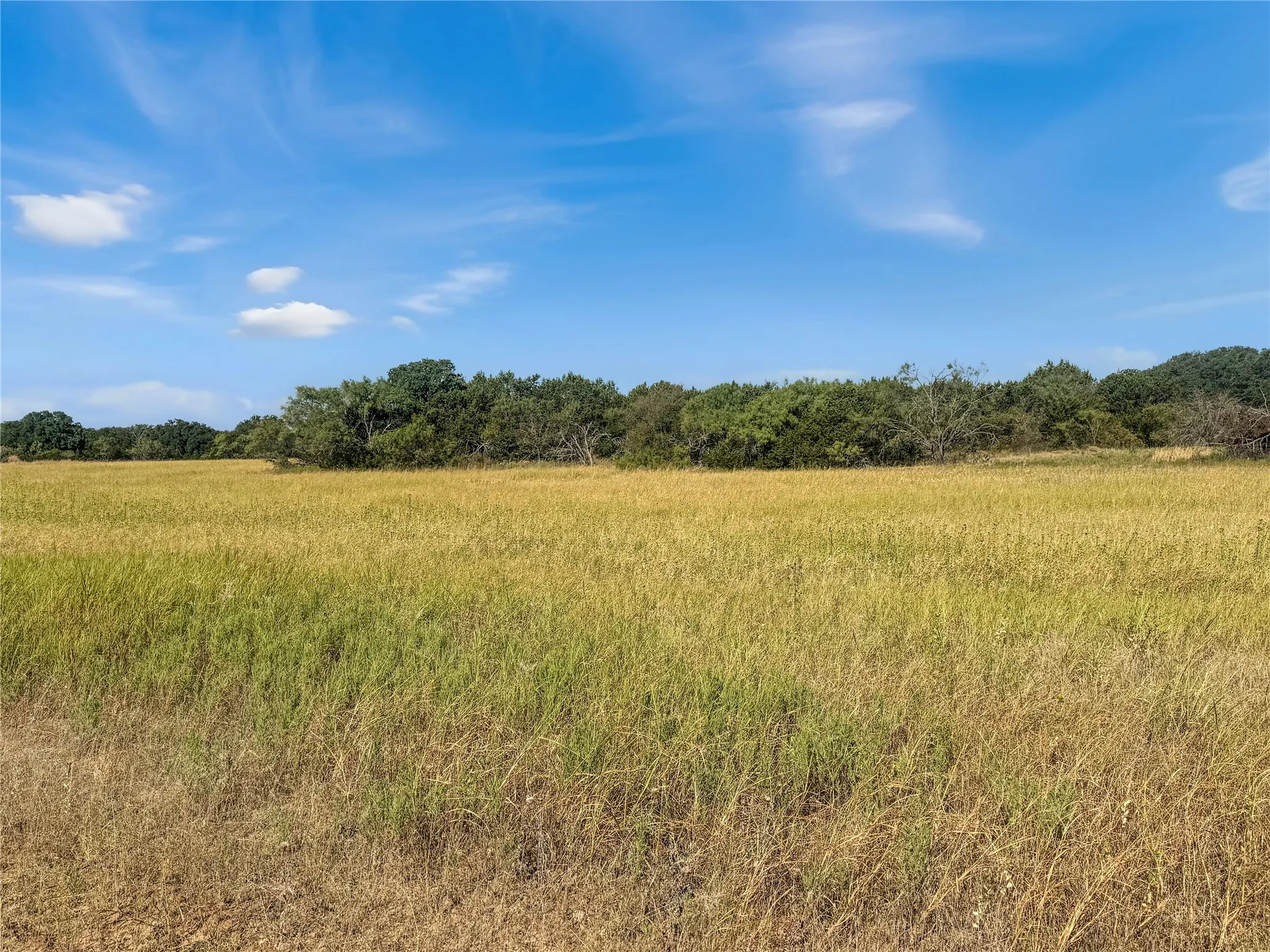 Ranch For Sale in Callahan County , TBD CR 409, Cross Plains, Texas 76443, 0, 0, Garage spaces, 0 Sqft, built in 0, mls#21382023, Real Estate Agent in Cross Plains, Homes For Sale in Callahan county, Homes For Sale in Cross Plains, Realtor in Cross Plains Texas, Real Estate Brokerage Independent Realty Texas, Luminita Cordes Realtor