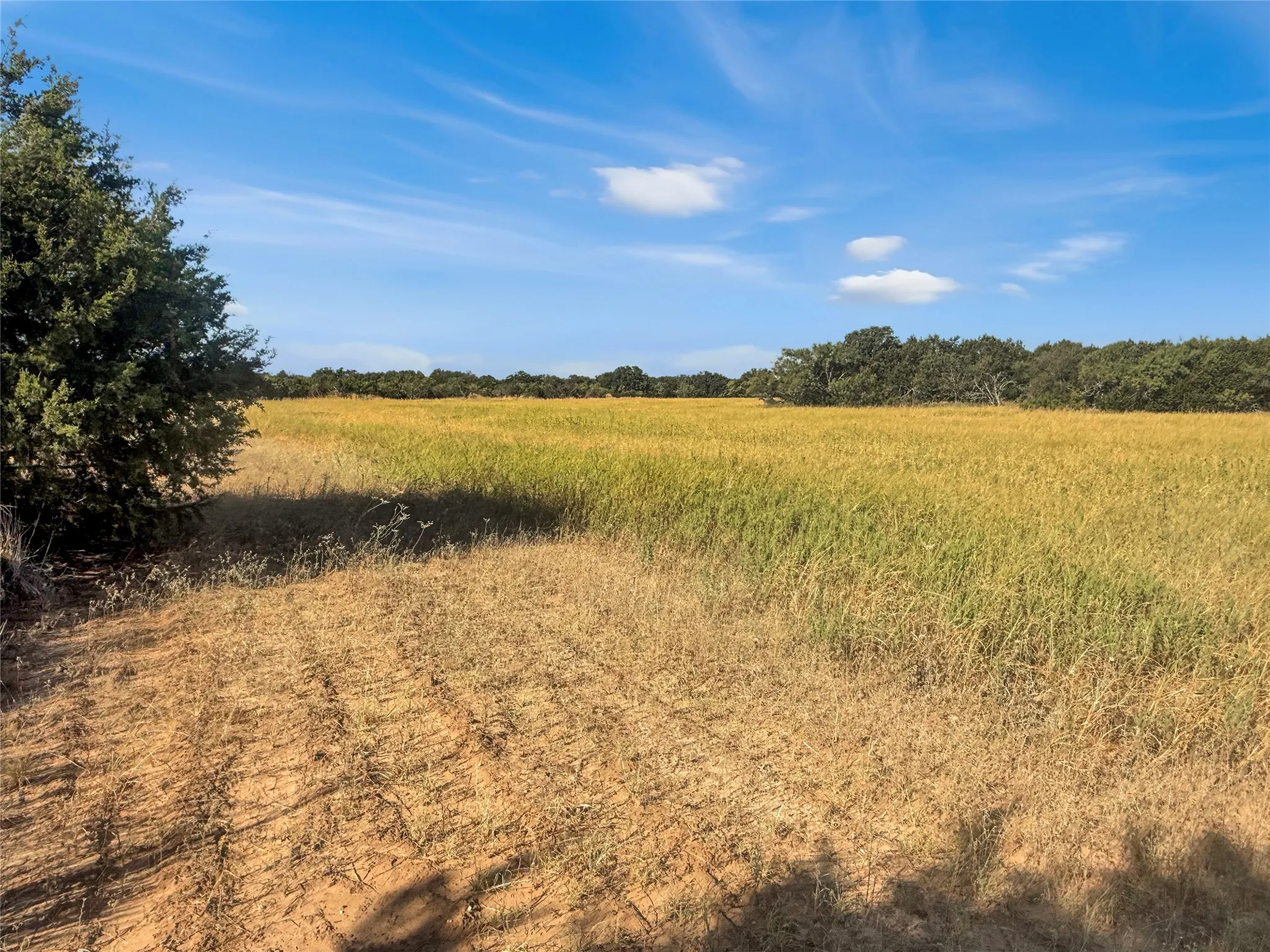 Ranch For Sale in Callahan County , TBD CR 409, Cross Plains, Texas 76443, 0, 0, Garage spaces, 0 Sqft, built in 0, mls#21382023, Real Estate Agent in Cross Plains, Homes For Sale in Callahan county, Homes For Sale in Cross Plains, Realtor in Cross Plains Texas, Real Estate Brokerage Independent Realty Texas, Luminita Cordes Realtor