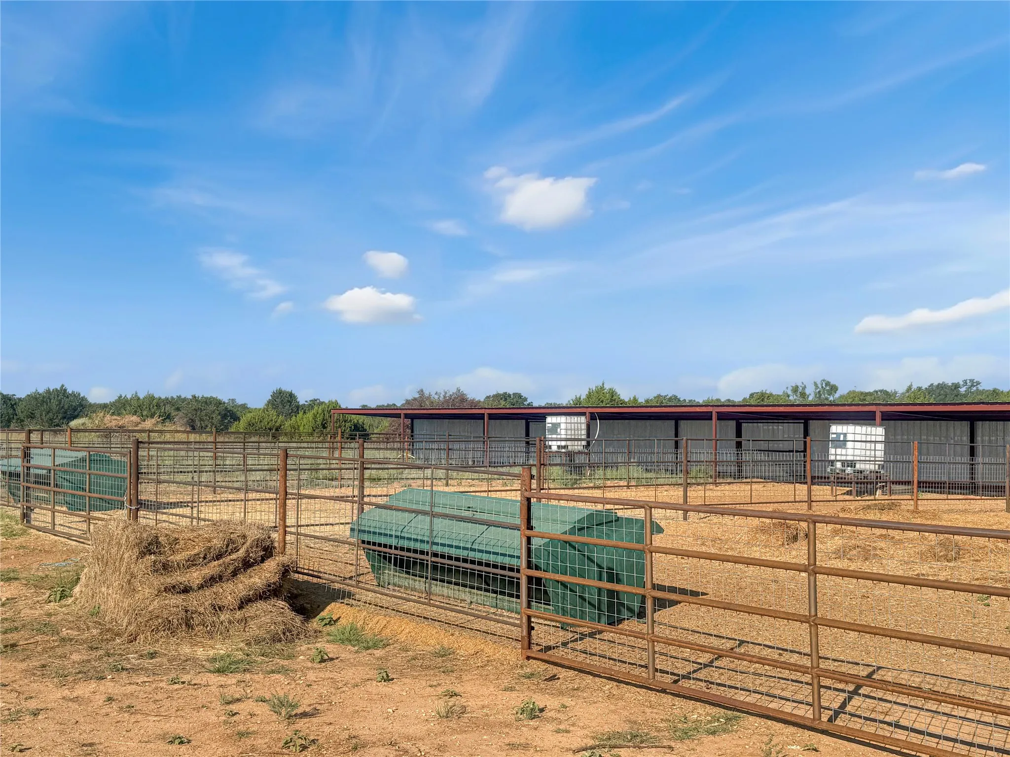 Ranch For Sale in Callahan County , TBD CR 409, Cross Plains, Texas 76443, 0, 0, Garage spaces, 0 Sqft, built in 0, mls#21382023, Real Estate Agent in Cross Plains, Homes For Sale in Callahan county, Homes For Sale in Cross Plains, Realtor in Cross Plains Texas, Real Estate Brokerage Independent Realty Texas, Luminita Cordes Realtor