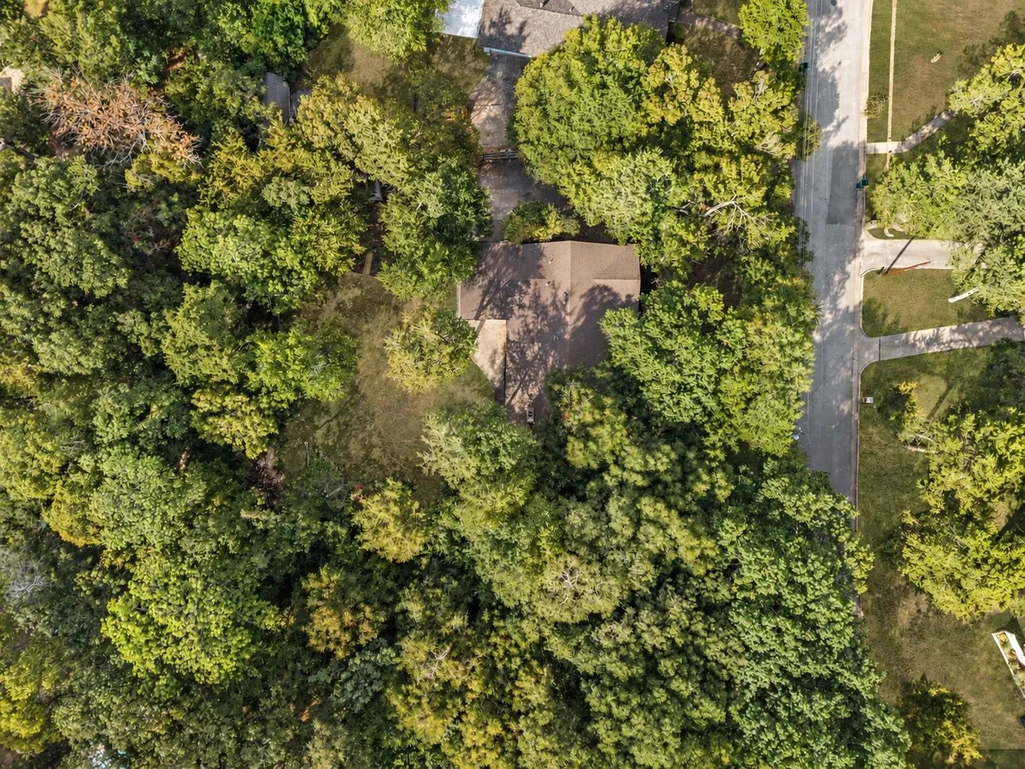 Single Family Residence For Sale in Dallas County , 1018 Randy Road, Cedar Hill, Texas 75104, 3 Bedroom, 2 Bathroom, 2 Garage spaces, 2,319 Sqft, built in 1970, mls#21376041, Real Estate Agent in Cedar Hill, Homes For Sale in Dallas county, Homes For Sale in Cedar Hill, Realtor in Cedar Hill Texas, Real Estate Brokerage Independent Realty Texas, Luminita Cordes Realtor
