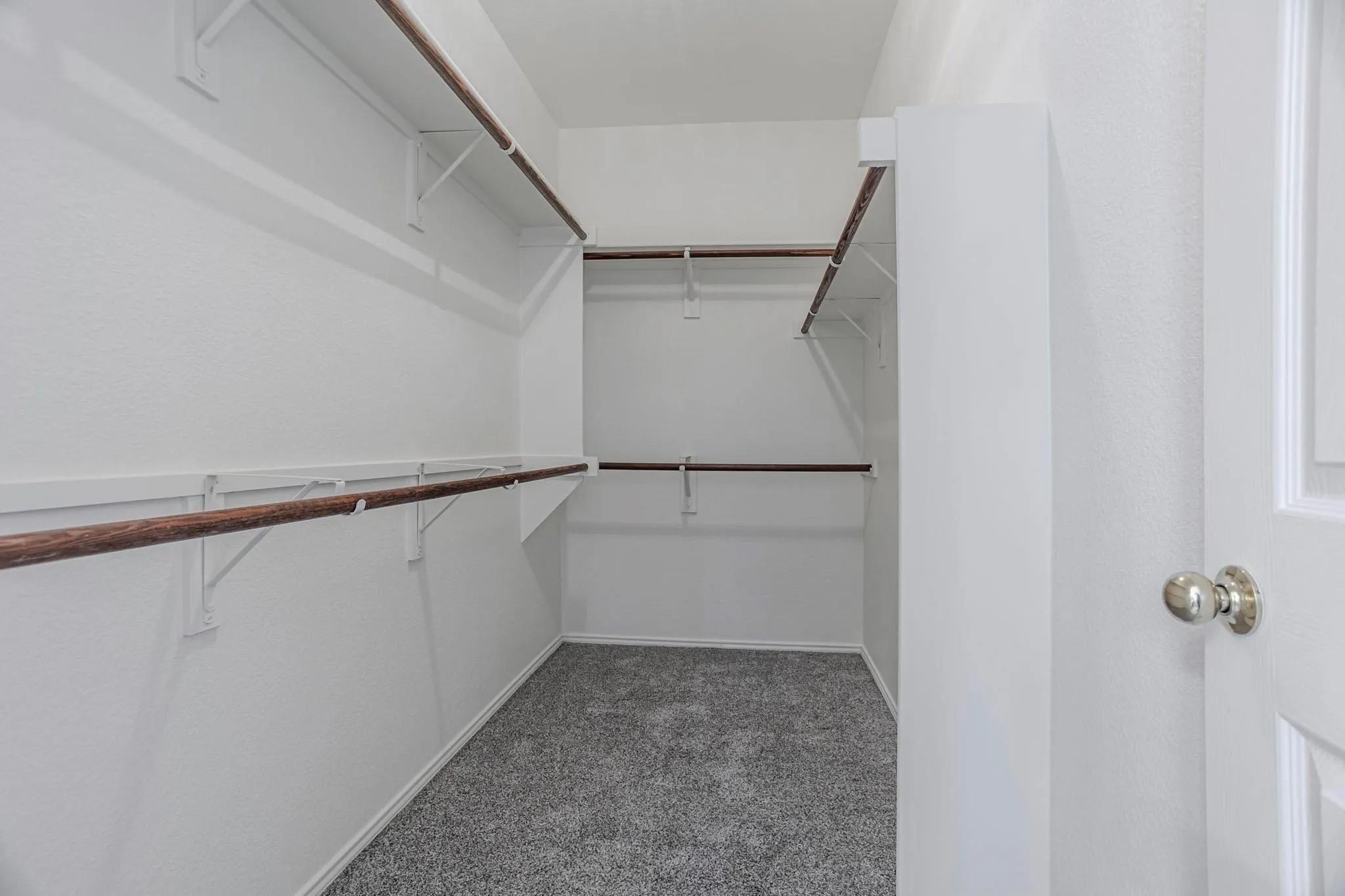 Walk-in closet with multiple hanging rods, shelving, and gray carpet flooring