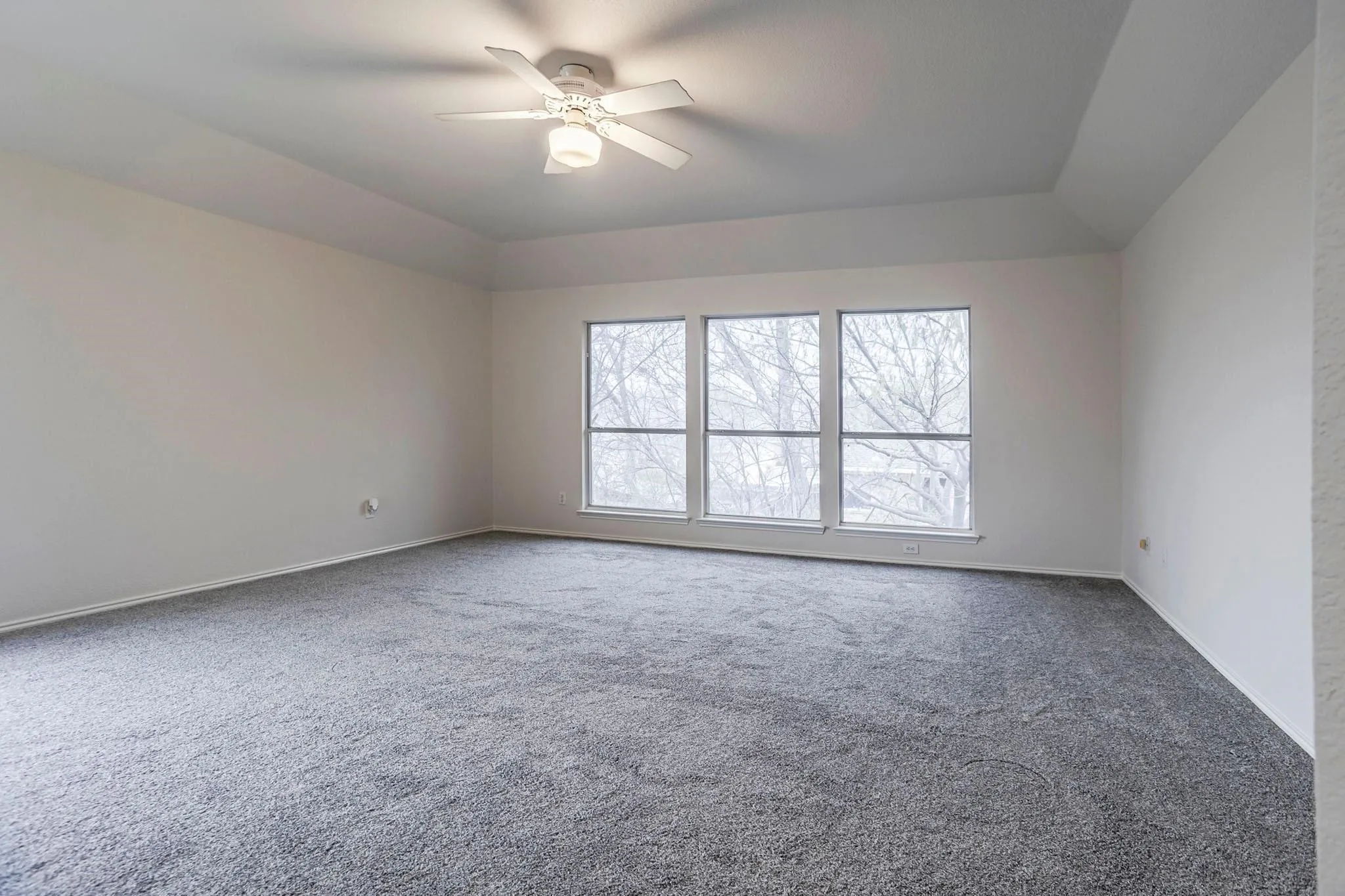 Tray ceiling with an attached ceiling fan, multiple windows, and neutral carpeting