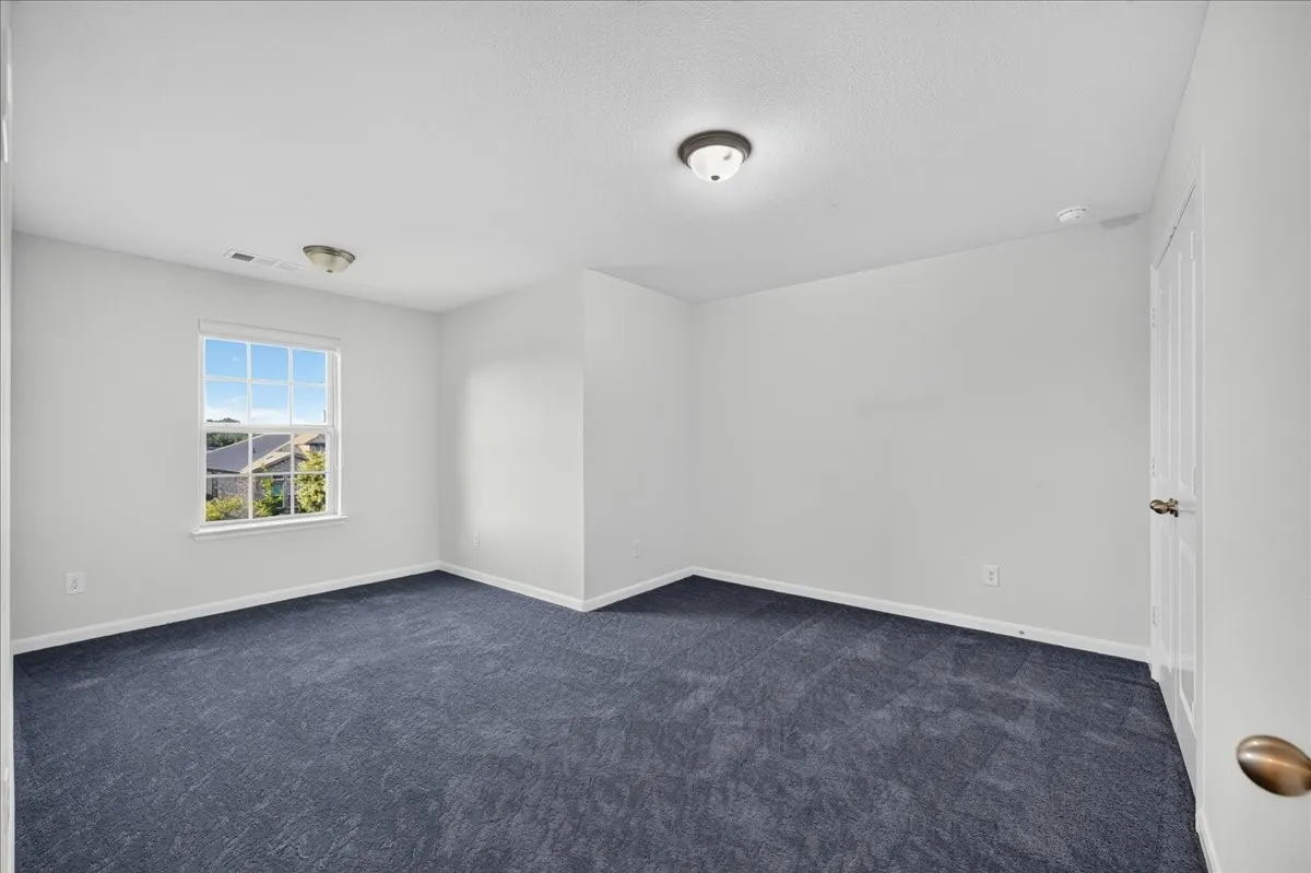 Spacious room with plush dark carpeting, a multi-pane window, and white walls