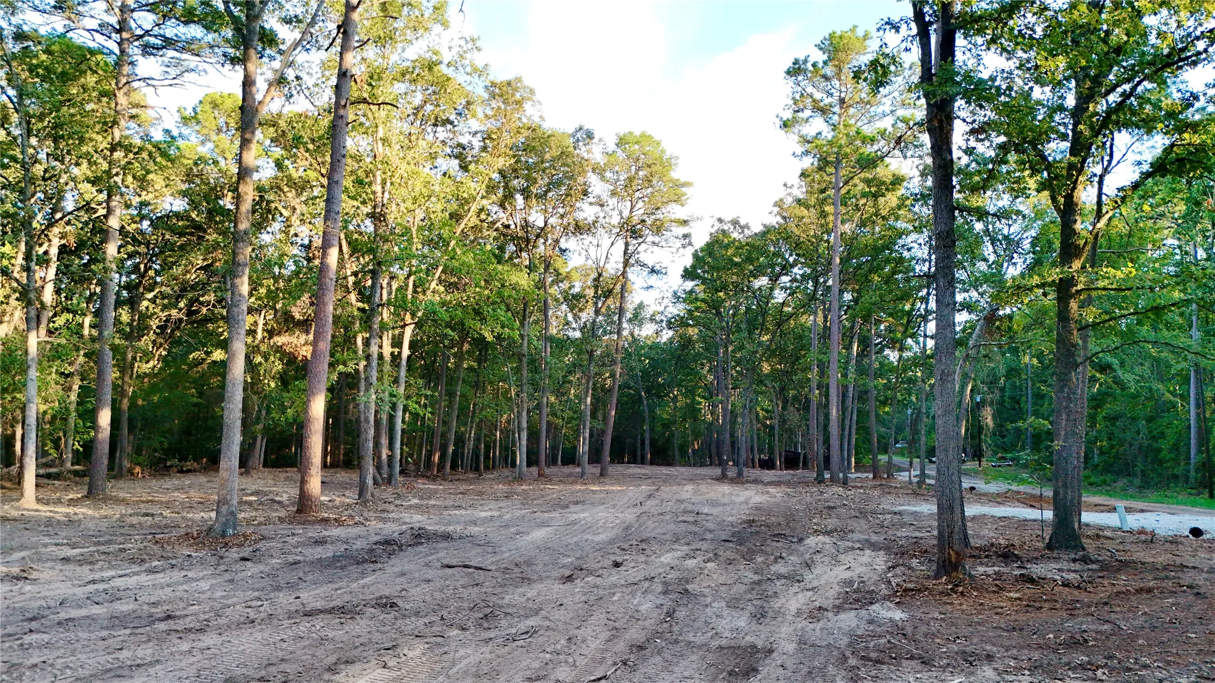 Unimproved Land For Sale in Franklin (TX) County , 000 Ermine Court, Mount Vernon, Texas 75457, 0, 0, Garage spaces, 0 Sqft, built in 0, mls#21382125, Real Estate Agent in Mount Vernon, Homes For Sale in Franklin (TX) county, Homes For Sale in Mount Vernon, Realtor in Mount Vernon Texas, Real Estate Brokerage Independent Realty Texas, Luminita Cordes Realtor