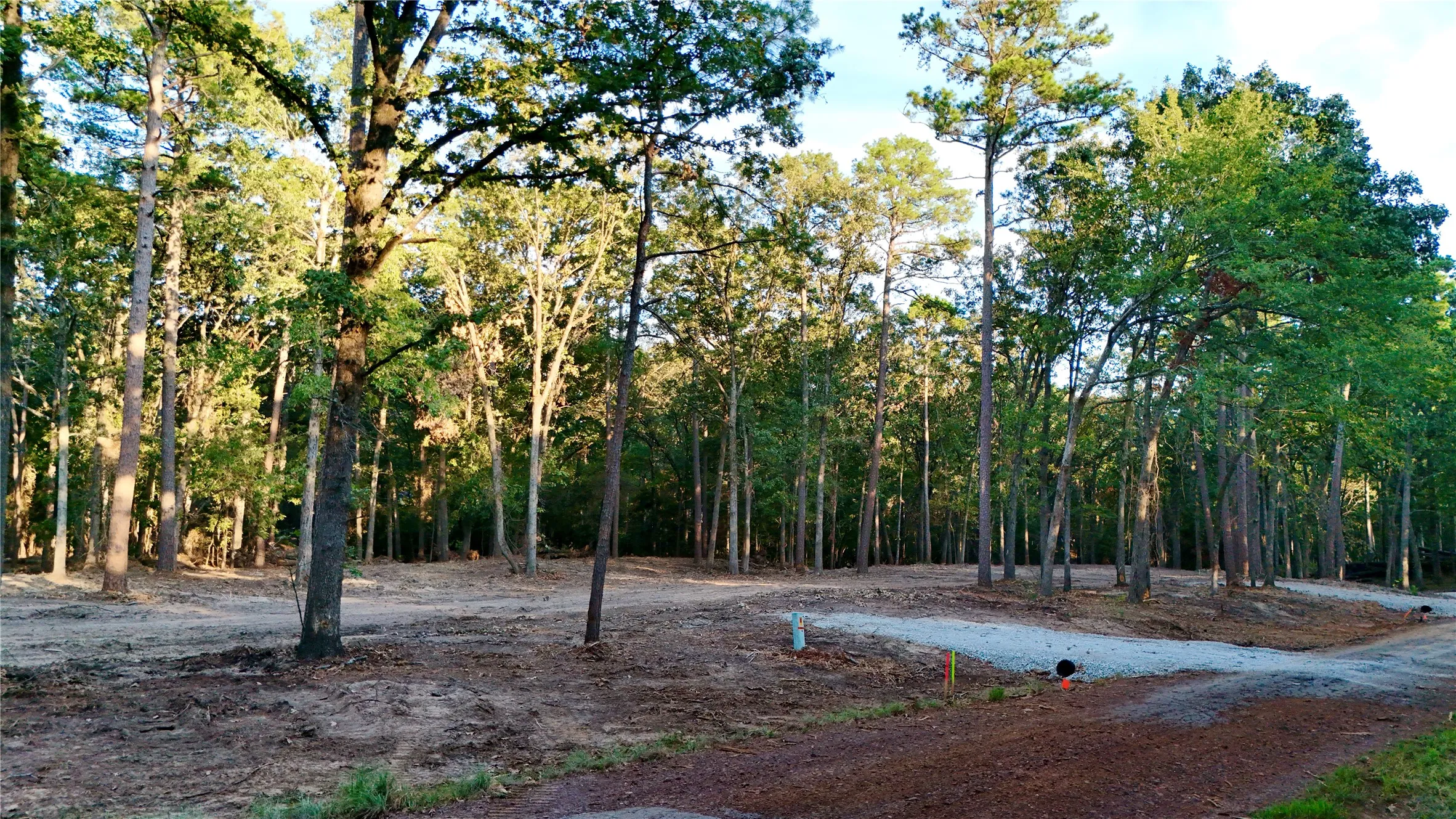 Unimproved Land For Sale in Franklin (TX) County , 000 Ermine Court, Mount Vernon, Texas 75457, 0, 0, Garage spaces, 0 Sqft, built in 0, mls#21382125, Real Estate Agent in Mount Vernon, Homes For Sale in Franklin (TX) county, Homes For Sale in Mount Vernon, Realtor in Mount Vernon Texas, Real Estate Brokerage Independent Realty Texas, Luminita Cordes Realtor