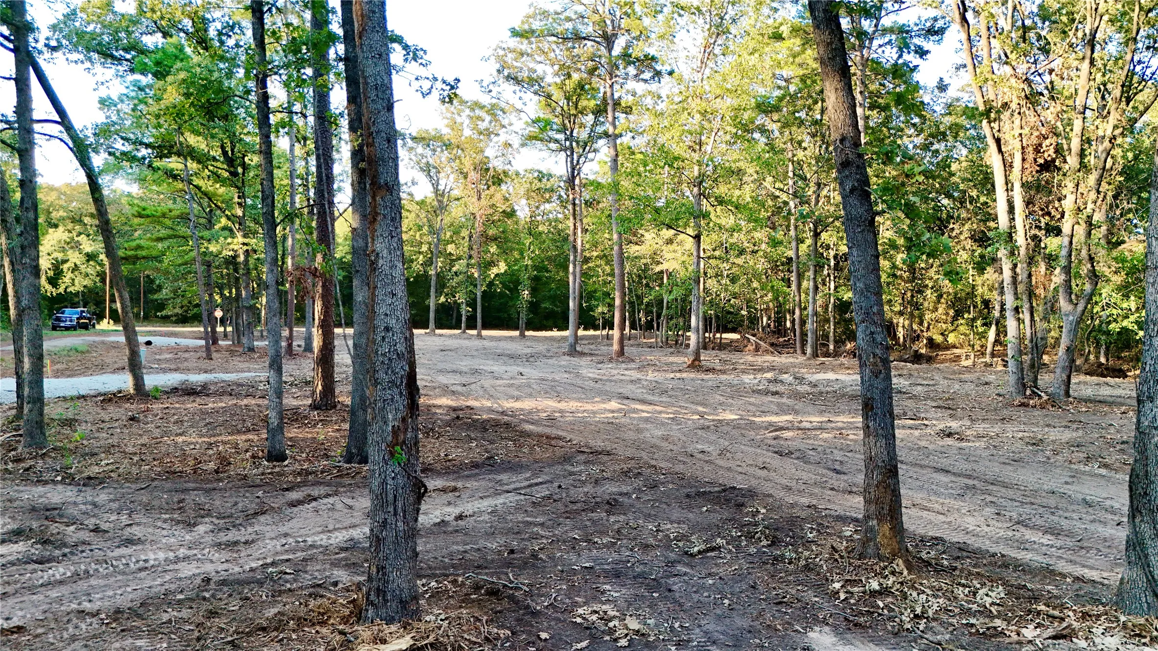 Unimproved Land For Sale in Franklin (TX) County , 000 Ermine Court, Mount Vernon, Texas 75457, 0, 0, Garage spaces, 0 Sqft, built in 0, mls#21382125, Real Estate Agent in Mount Vernon, Homes For Sale in Franklin (TX) county, Homes For Sale in Mount Vernon, Realtor in Mount Vernon Texas, Real Estate Brokerage Independent Realty Texas, Luminita Cordes Realtor