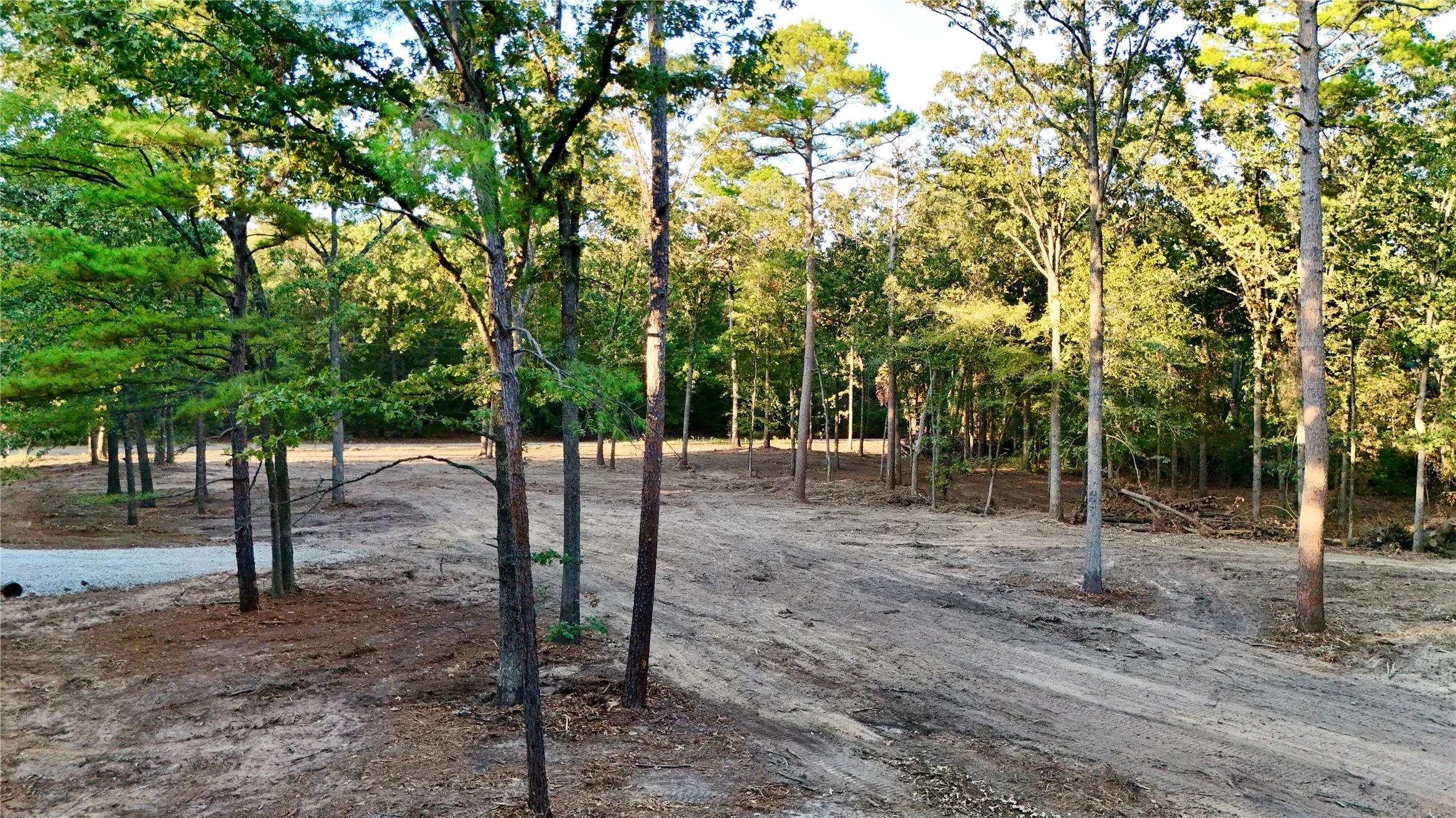 Unimproved Land For Sale in Franklin (TX) County , 0 Ermine Court, Mount Vernon, Texas 75457, 0, 0, Garage spaces, 0 Sqft, built in 0, mls#21382157, Real Estate Agent in Mount Vernon, Homes For Sale in Franklin (TX) county, Homes For Sale in Mount Vernon, Realtor in Mount Vernon Texas, Real Estate Brokerage Independent Realty Texas, Luminita Cordes Realtor