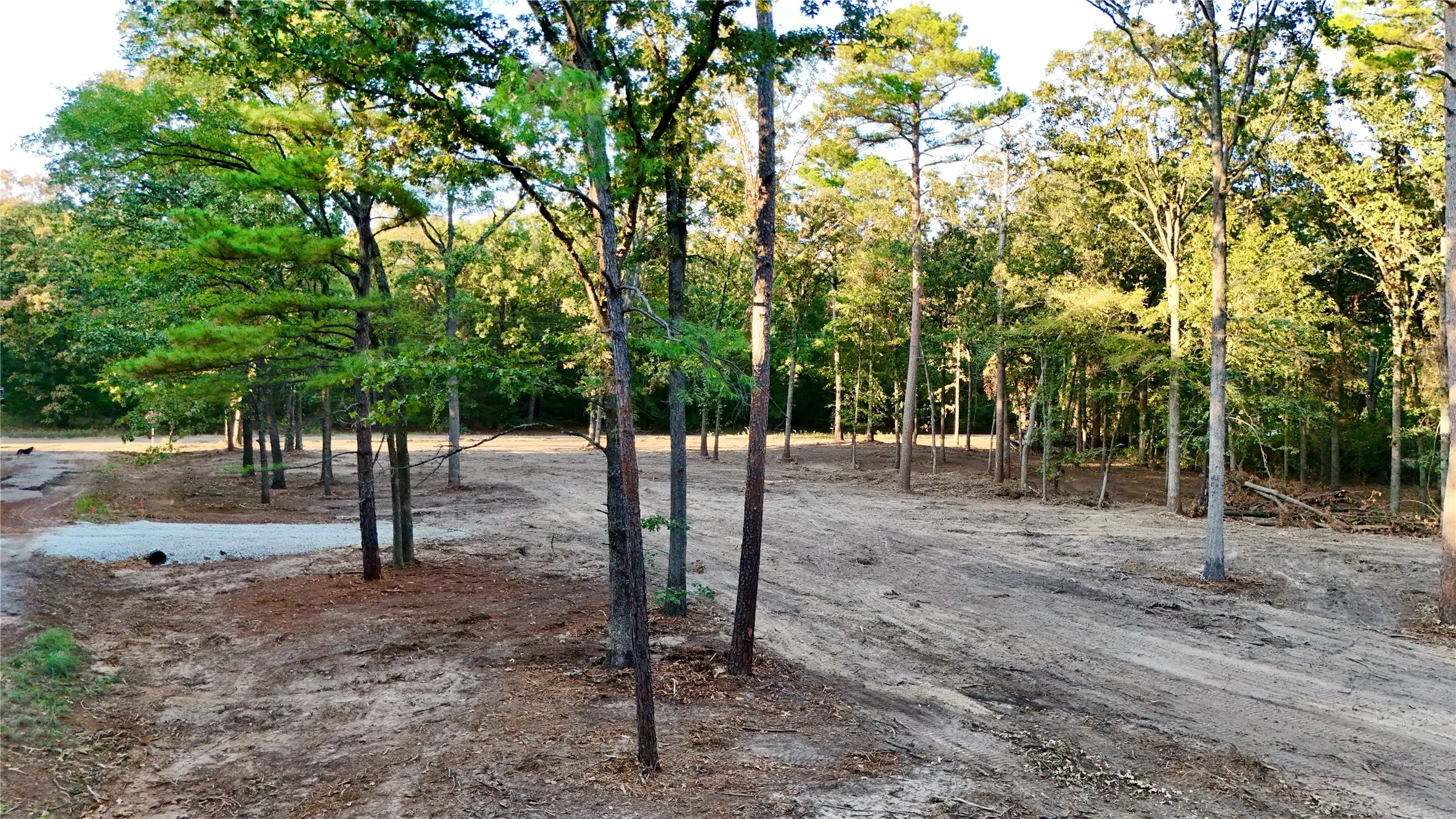 Unimproved Land For Sale in Franklin (TX) County , 0 Ermine Court, Mount Vernon, Texas 75457, 0, 0, Garage spaces, 0 Sqft, built in 0, mls#21382157, Real Estate Agent in Mount Vernon, Homes For Sale in Franklin (TX) county, Homes For Sale in Mount Vernon, Realtor in Mount Vernon Texas, Real Estate Brokerage Independent Realty Texas, Luminita Cordes Realtor