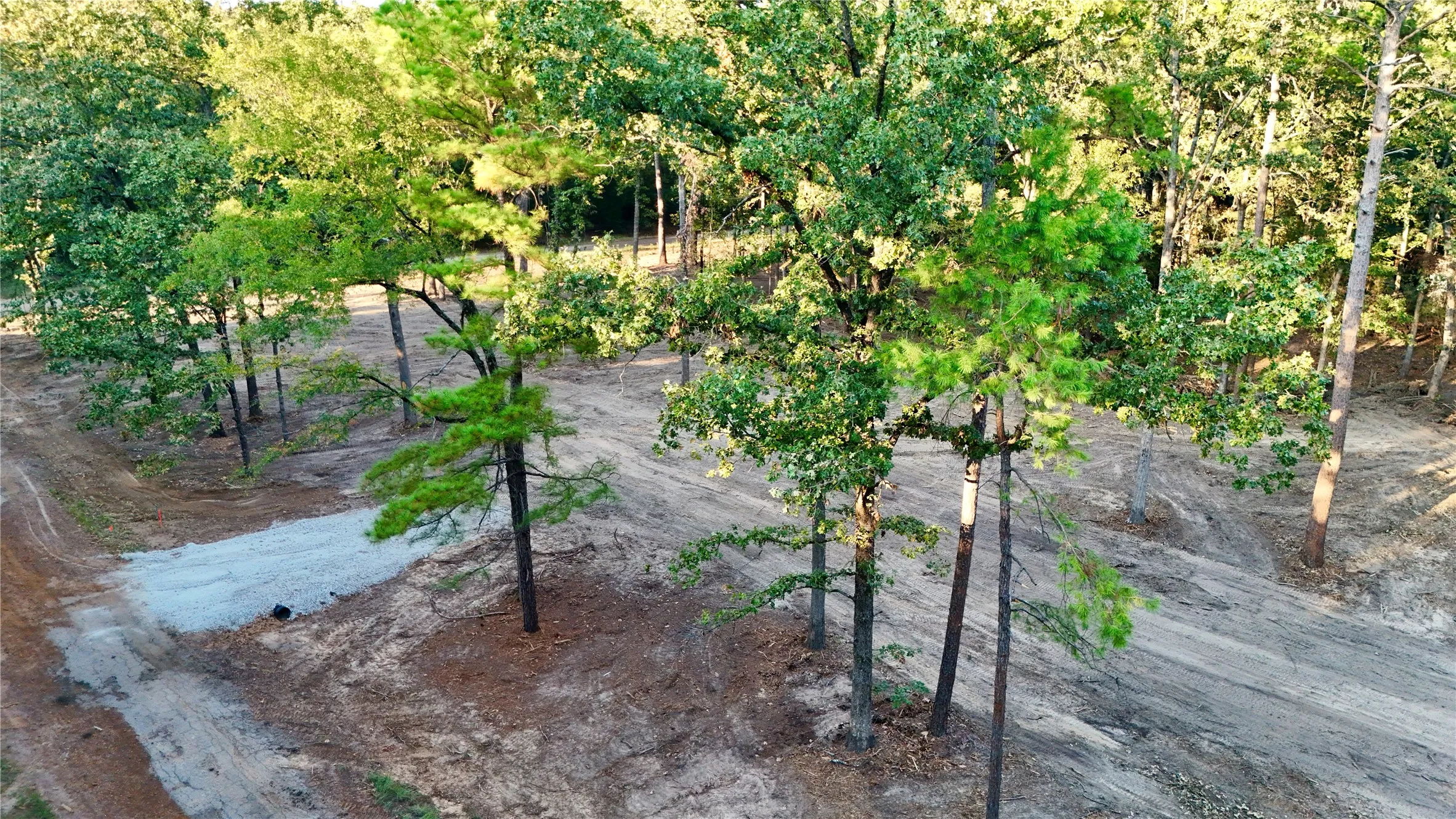 Unimproved Land For Sale in Franklin (TX) County , 0 Ermine Court, Mount Vernon, Texas 75457, 0, 0, Garage spaces, 0 Sqft, built in 0, mls#21382157, Real Estate Agent in Mount Vernon, Homes For Sale in Franklin (TX) county, Homes For Sale in Mount Vernon, Realtor in Mount Vernon Texas, Real Estate Brokerage Independent Realty Texas, Luminita Cordes Realtor