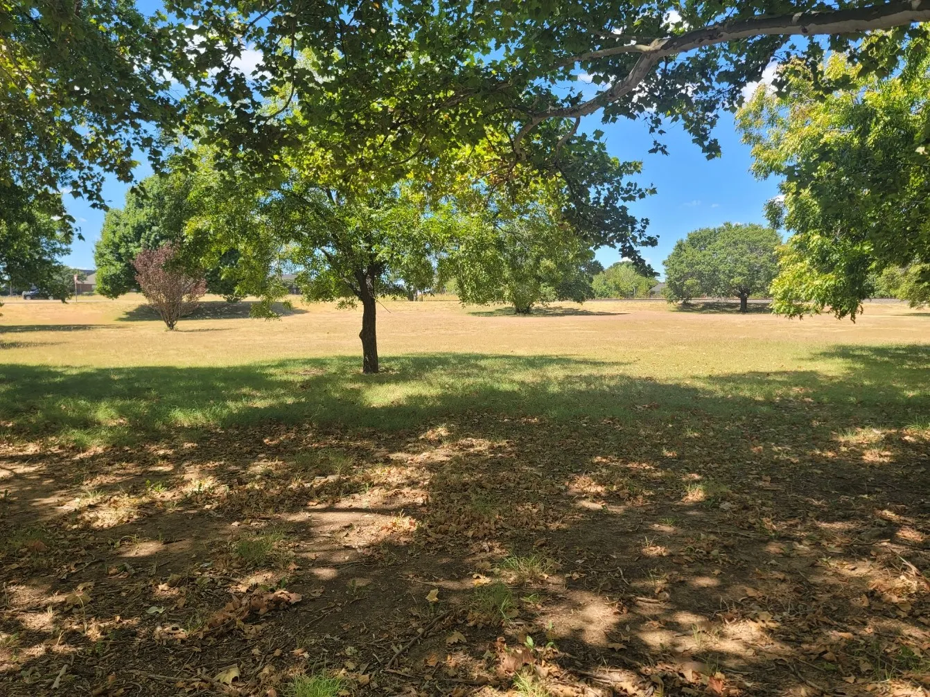 Unimproved Land For Sale in Dallas County , 125 E Pleasant Run Road, Cedar Hill, Texas 75104, 0, 0, Garage spaces, 0 Sqft, built in 0, mls#21382165, Real Estate Agent in Cedar Hill, Homes For Sale in Dallas county, Homes For Sale in Cedar Hill, Realtor in Cedar Hill Texas, Real Estate Brokerage Independent Realty Texas, Luminita Cordes Realtor