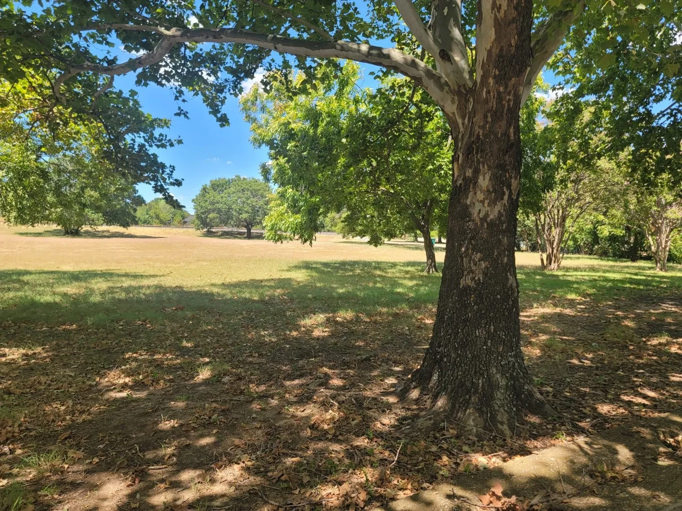 Unimproved Land For Sale in Dallas County , 125 E Pleasant Run Road, Cedar Hill, Texas 75104, 0, 0, Garage spaces, 0 Sqft, built in 0, mls#21382165, Real Estate Agent in Cedar Hill, Homes For Sale in Dallas county, Homes For Sale in Cedar Hill, Realtor in Cedar Hill Texas, Real Estate Brokerage Independent Realty Texas, Luminita Cordes Realtor