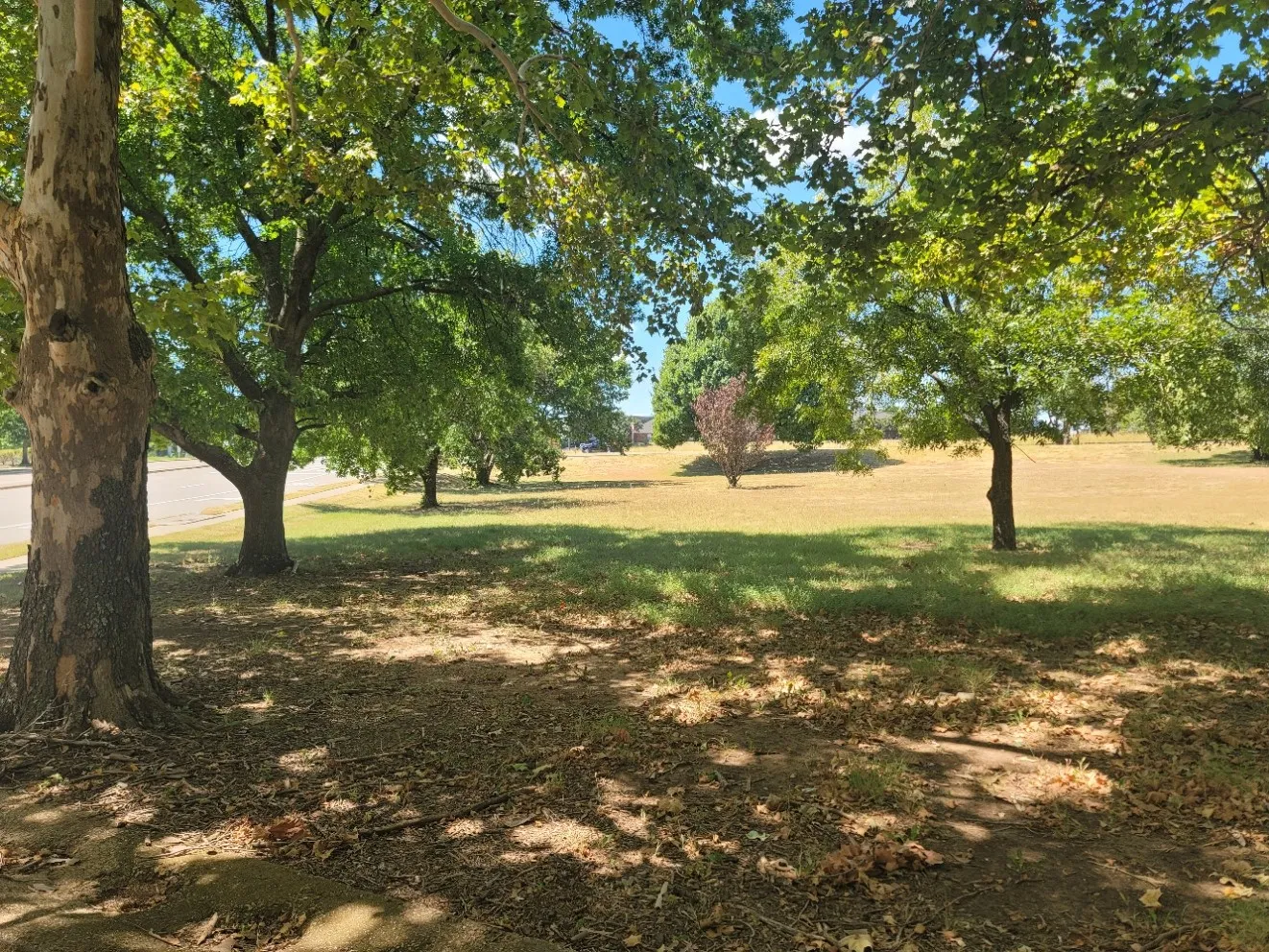 Unimproved Land For Sale in Dallas County , 125 E Pleasant Run Road, Cedar Hill, Texas 75104, 0, 0, Garage spaces, 0 Sqft, built in 0, mls#21382165, Real Estate Agent in Cedar Hill, Homes For Sale in Dallas county, Homes For Sale in Cedar Hill, Realtor in Cedar Hill Texas, Real Estate Brokerage Independent Realty Texas, Luminita Cordes Realtor