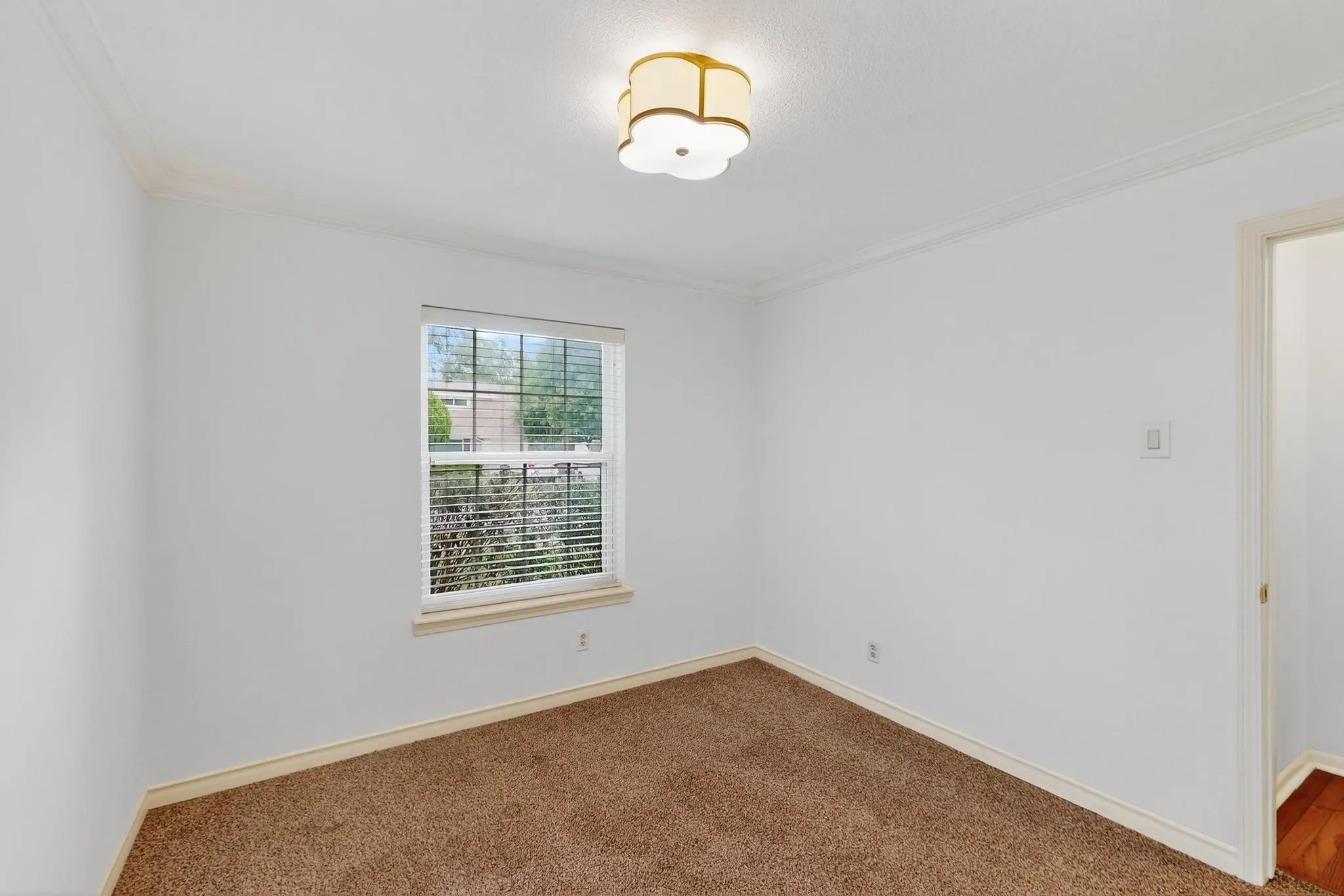 Carpeted empty room featuring crown molding and baseboards