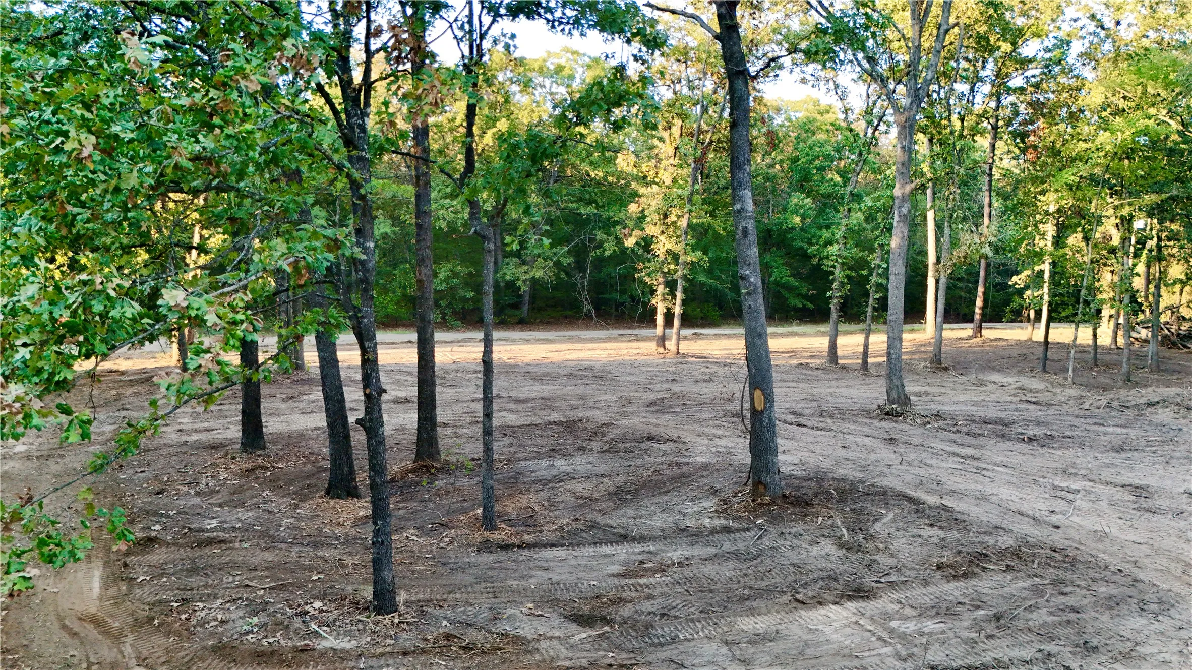 Unimproved Land For Sale in Franklin (TX) County , TBD Bluebonnet Trail, Mount Vernon, Texas 75457, 0, 0, Garage spaces, 0 Sqft, built in 0, mls#21382190, Real Estate Agent in Mount Vernon, Homes For Sale in Franklin (TX) county, Homes For Sale in Mount Vernon, Realtor in Mount Vernon Texas, Real Estate Brokerage Independent Realty Texas, Luminita Cordes Realtor