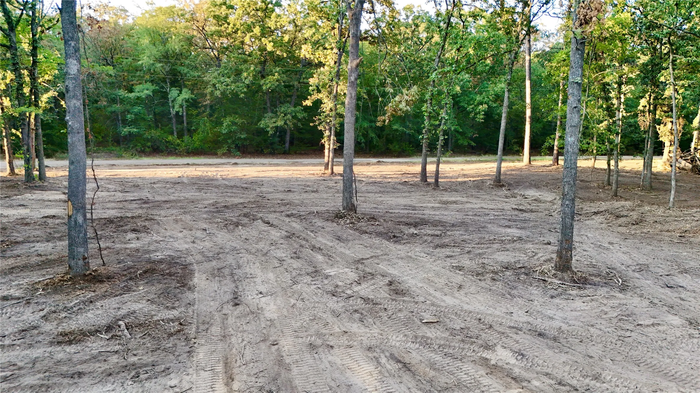Unimproved Land For Sale in Franklin (TX) County , TBD Bluebonnet Trail, Mount Vernon, Texas 75457, 0, 0, Garage spaces, 0 Sqft, built in 0, mls#21382190, Real Estate Agent in Mount Vernon, Homes For Sale in Franklin (TX) county, Homes For Sale in Mount Vernon, Realtor in Mount Vernon Texas, Real Estate Brokerage Independent Realty Texas, Luminita Cordes Realtor