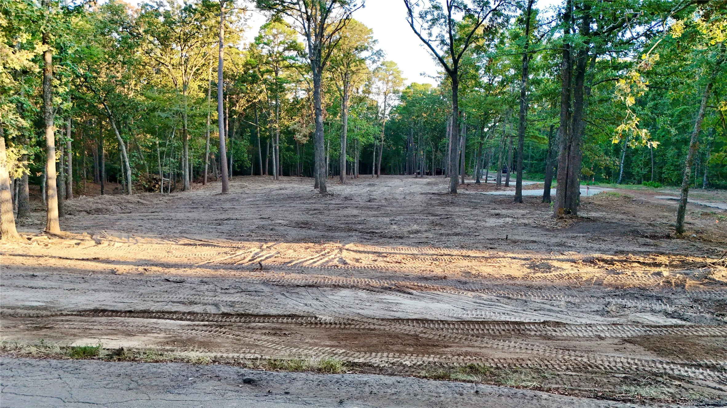 Unimproved Land For Sale in Franklin (TX) County , TBD Bluebonnet Trail, Mount Vernon, Texas 75457, 0, 0, Garage spaces, 0 Sqft, built in 0, mls#21382190, Real Estate Agent in Mount Vernon, Homes For Sale in Franklin (TX) county, Homes For Sale in Mount Vernon, Realtor in Mount Vernon Texas, Real Estate Brokerage Independent Realty Texas, Luminita Cordes Realtor