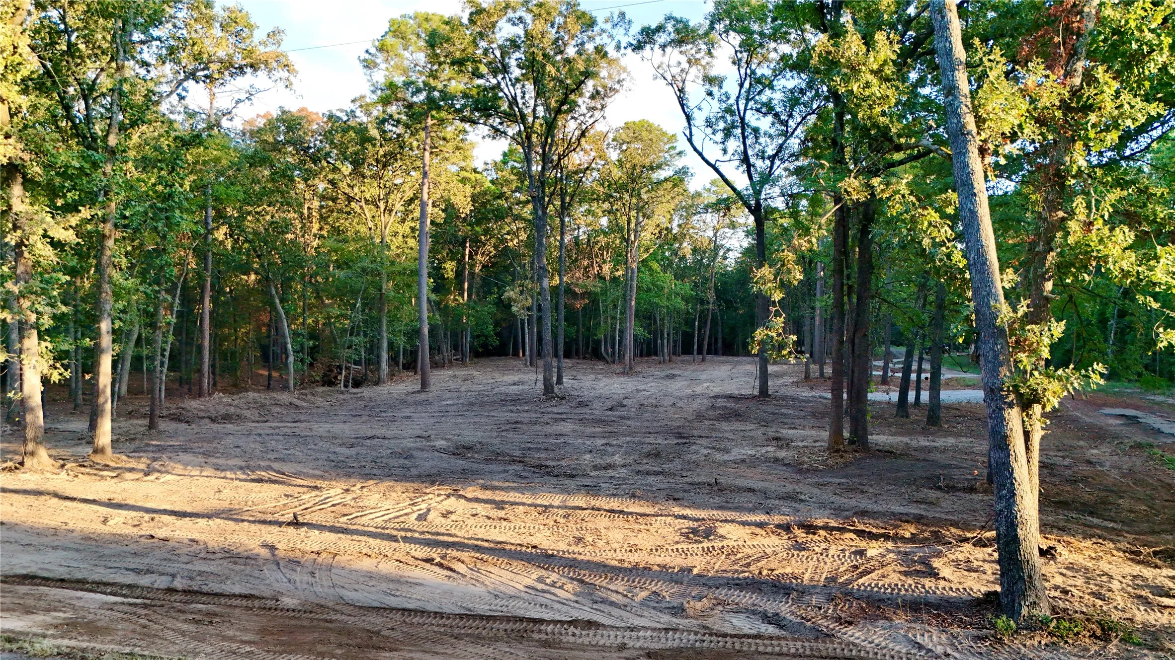 Unimproved Land For Sale in Franklin (TX) County , TBD Bluebonnet Trail, Mount Vernon, Texas 75457, 0, 0, Garage spaces, 0 Sqft, built in 0, mls#21382190, Real Estate Agent in Mount Vernon, Homes For Sale in Franklin (TX) county, Homes For Sale in Mount Vernon, Realtor in Mount Vernon Texas, Real Estate Brokerage Independent Realty Texas, Luminita Cordes Realtor