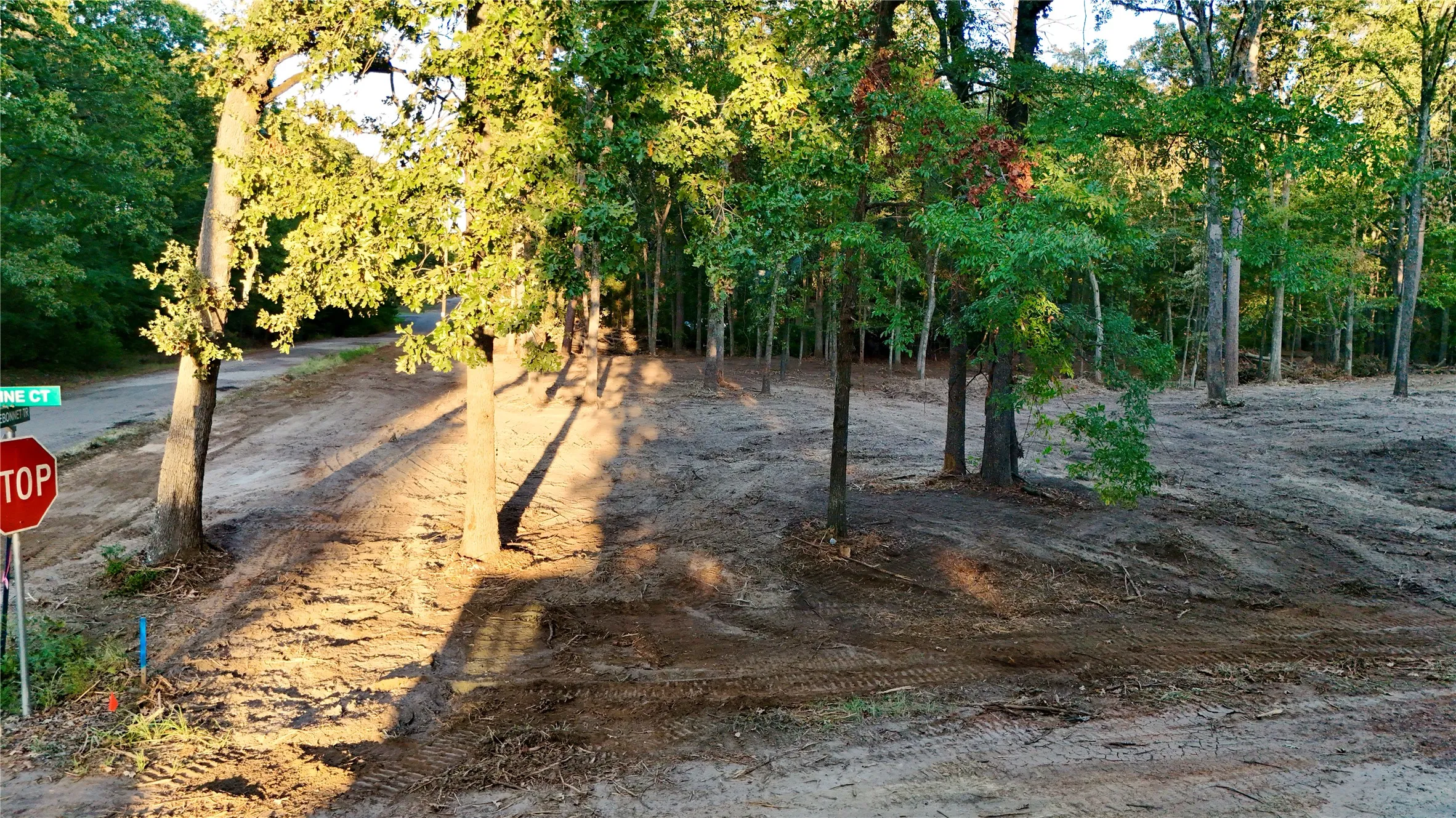 Unimproved Land For Sale in Franklin (TX) County , TBD Bluebonnet Trail, Mount Vernon, Texas 75457, 0, 0, Garage spaces, 0 Sqft, built in 0, mls#21382190, Real Estate Agent in Mount Vernon, Homes For Sale in Franklin (TX) county, Homes For Sale in Mount Vernon, Realtor in Mount Vernon Texas, Real Estate Brokerage Independent Realty Texas, Luminita Cordes Realtor