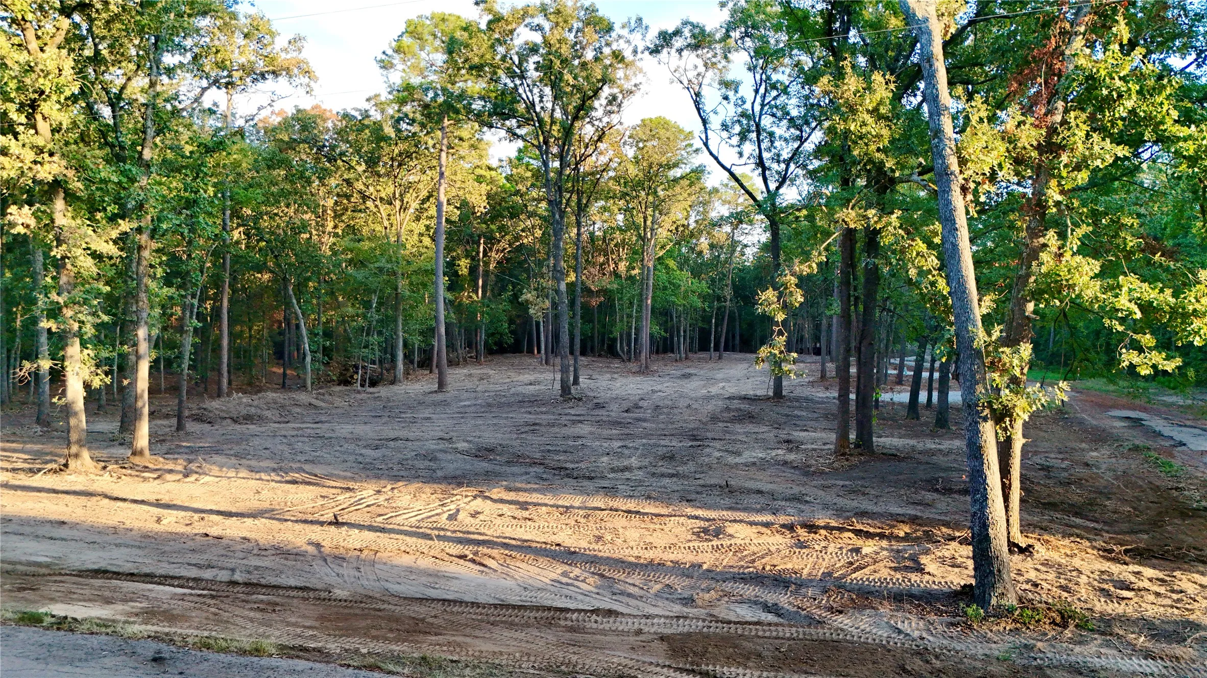 Unimproved Land For Sale in Franklin (TX) County , TBD Bluebonnet Trail, Mount Vernon, Texas 75457, 0, 0, Garage spaces, 0 Sqft, built in 0, mls#21382190, Real Estate Agent in Mount Vernon, Homes For Sale in Franklin (TX) county, Homes For Sale in Mount Vernon, Realtor in Mount Vernon Texas, Real Estate Brokerage Independent Realty Texas, Luminita Cordes Realtor