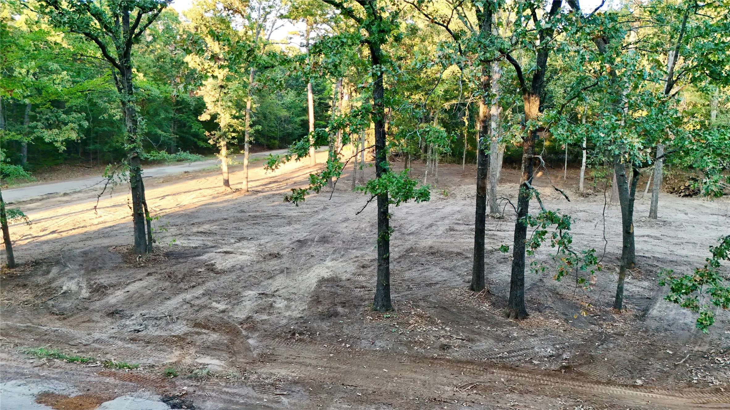 Unimproved Land For Sale in Franklin (TX) County , TBD Bluebonnet Trail, Mount Vernon, Texas 75457, 0, 0, Garage spaces, 0 Sqft, built in 0, mls#21382190, Real Estate Agent in Mount Vernon, Homes For Sale in Franklin (TX) county, Homes For Sale in Mount Vernon, Realtor in Mount Vernon Texas, Real Estate Brokerage Independent Realty Texas, Luminita Cordes Realtor