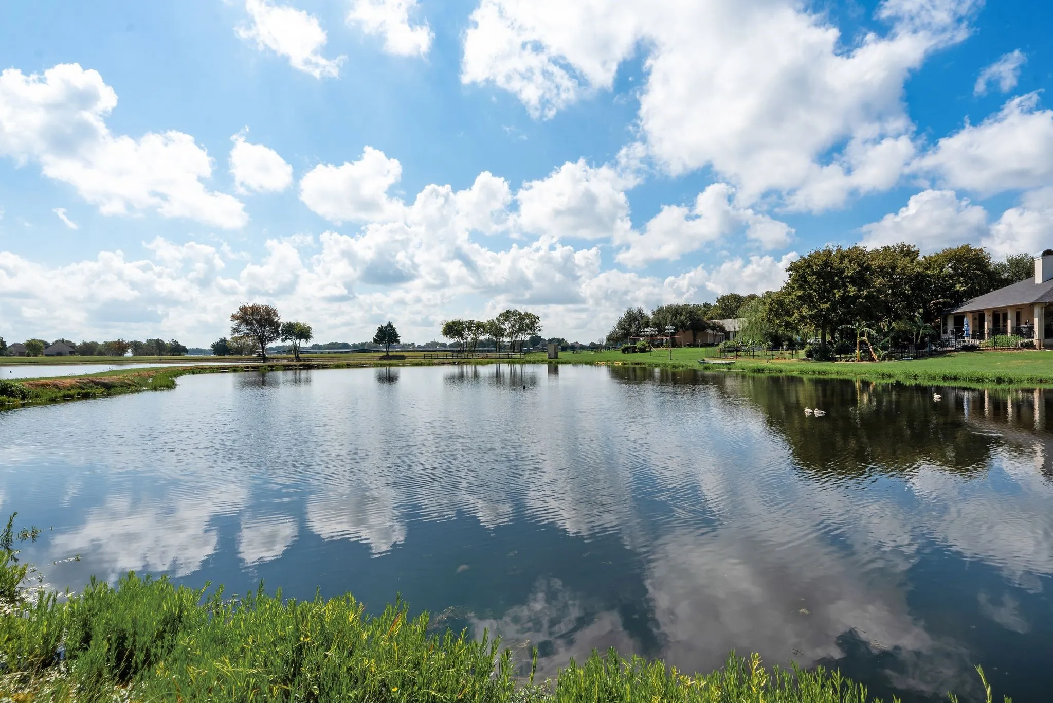 Peaceful water's-edge view highlights the scenic setting and tranquil pond frontage surrounding this Corsicana lake property.