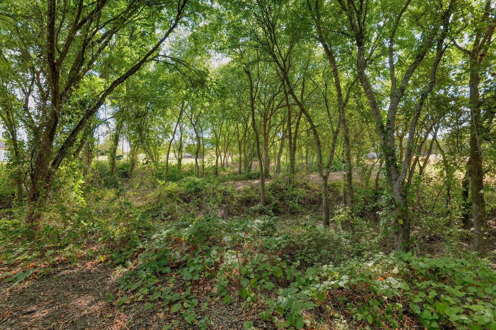 Improved Land For Sale in Mc Lennan County , 487 Highview Lane, Moody, Texas 76557, 0, 0, Garage spaces, 0 Sqft, built in 0, mls#21380909, Real Estate Agent in Moody, Homes For Sale in Mc Lennan county, Homes For Sale in Moody, Realtor in Moody Texas, Real Estate Brokerage Independent Realty Texas, Luminita Cordes Realtor