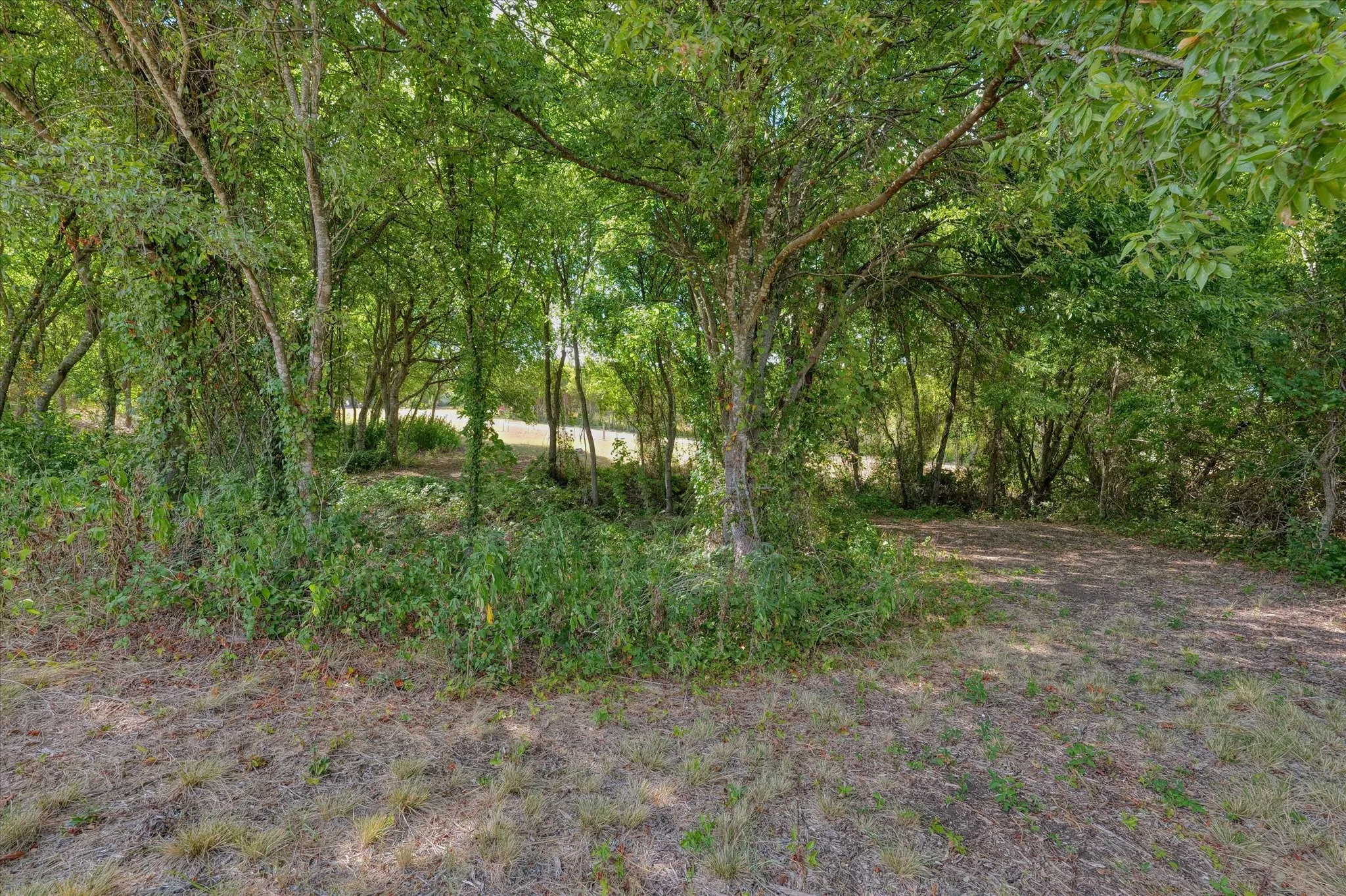 Improved Land For Sale in Mc Lennan County , 487 Highview Lane, Moody, Texas 76557, 0, 0, Garage spaces, 0 Sqft, built in 0, mls#21380909, Real Estate Agent in Moody, Homes For Sale in Mc Lennan county, Homes For Sale in Moody, Realtor in Moody Texas, Real Estate Brokerage Independent Realty Texas, Luminita Cordes Realtor