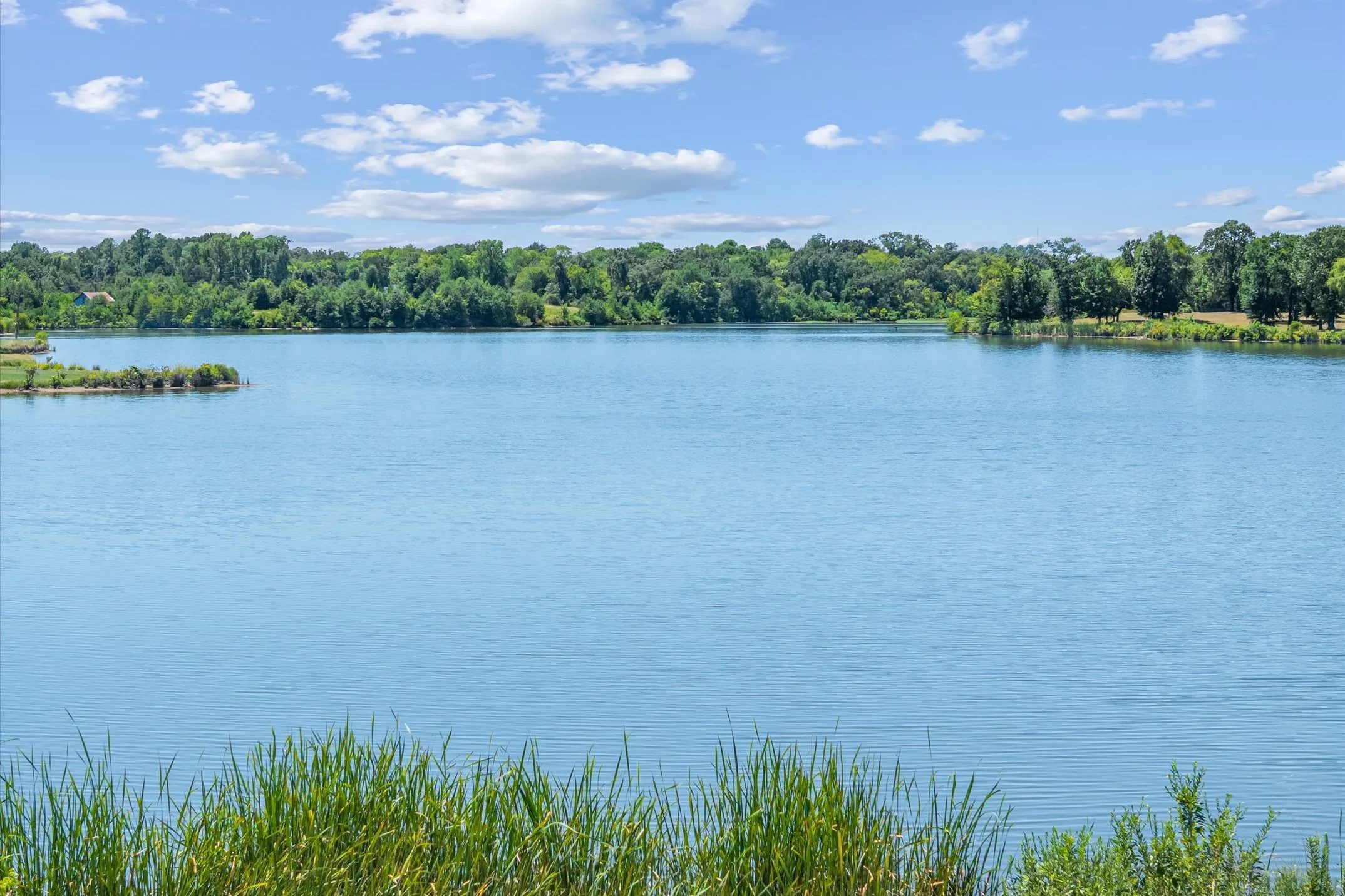 Unimproved Land For Sale in Van Zandt County , 00 VZ County Road 1805, Grand Saline, Texas 75140, 0, 0, Garage spaces, 0 Sqft, built in 0, mls#21368450, Real Estate Agent in Grand Saline, Homes For Sale in Van Zandt county, Homes For Sale in Grand Saline, Realtor in Grand Saline Texas, Real Estate Brokerage Independent Realty Texas, Luminita Cordes Realtor