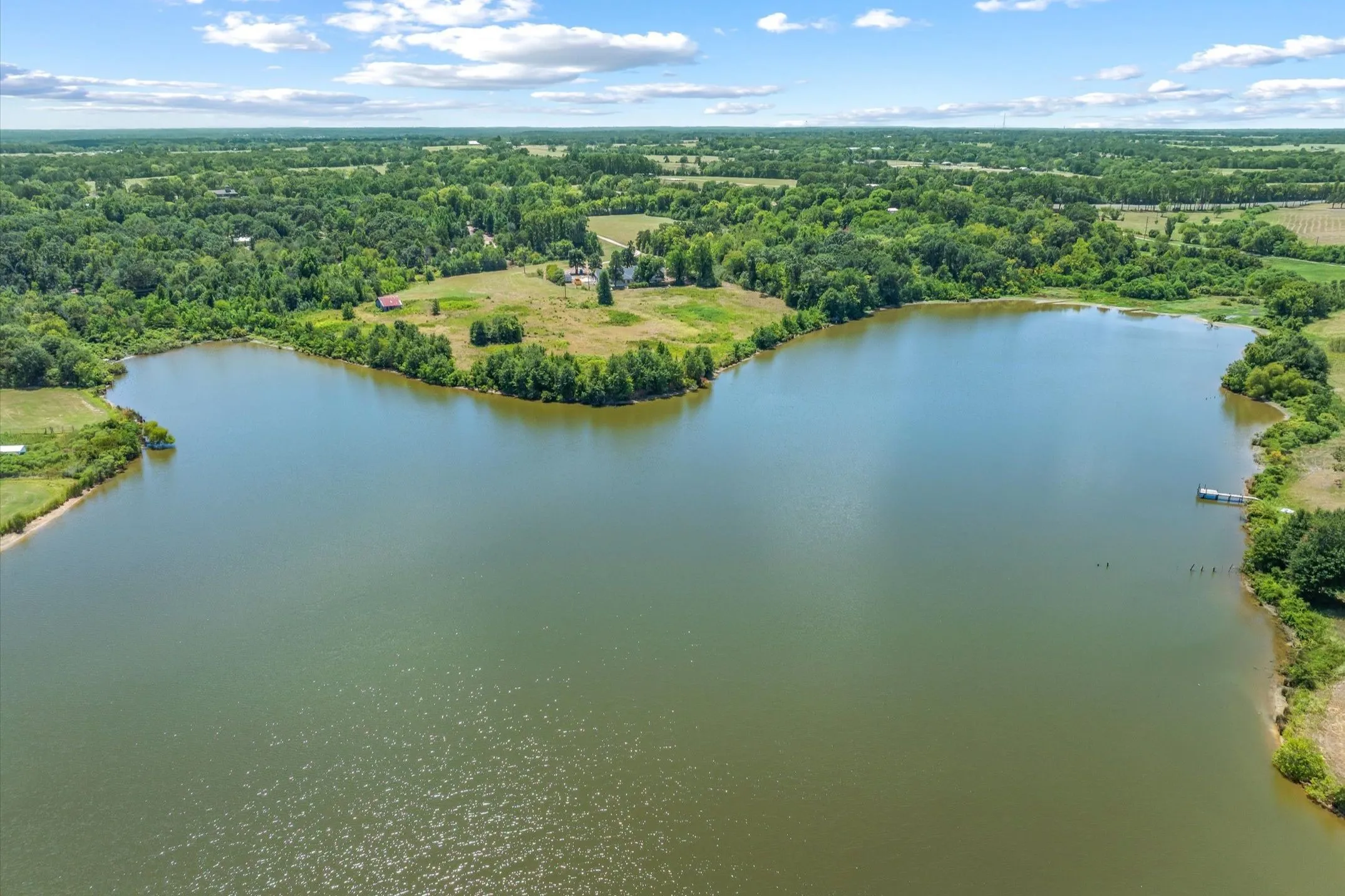 Unimproved Land For Sale in Van Zandt County , 00 VZ County Road 1805, Grand Saline, Texas 75140, 0, 0, Garage spaces, 0 Sqft, built in 0, mls#21368450, Real Estate Agent in Grand Saline, Homes For Sale in Van Zandt county, Homes For Sale in Grand Saline, Realtor in Grand Saline Texas, Real Estate Brokerage Independent Realty Texas, Luminita Cordes Realtor