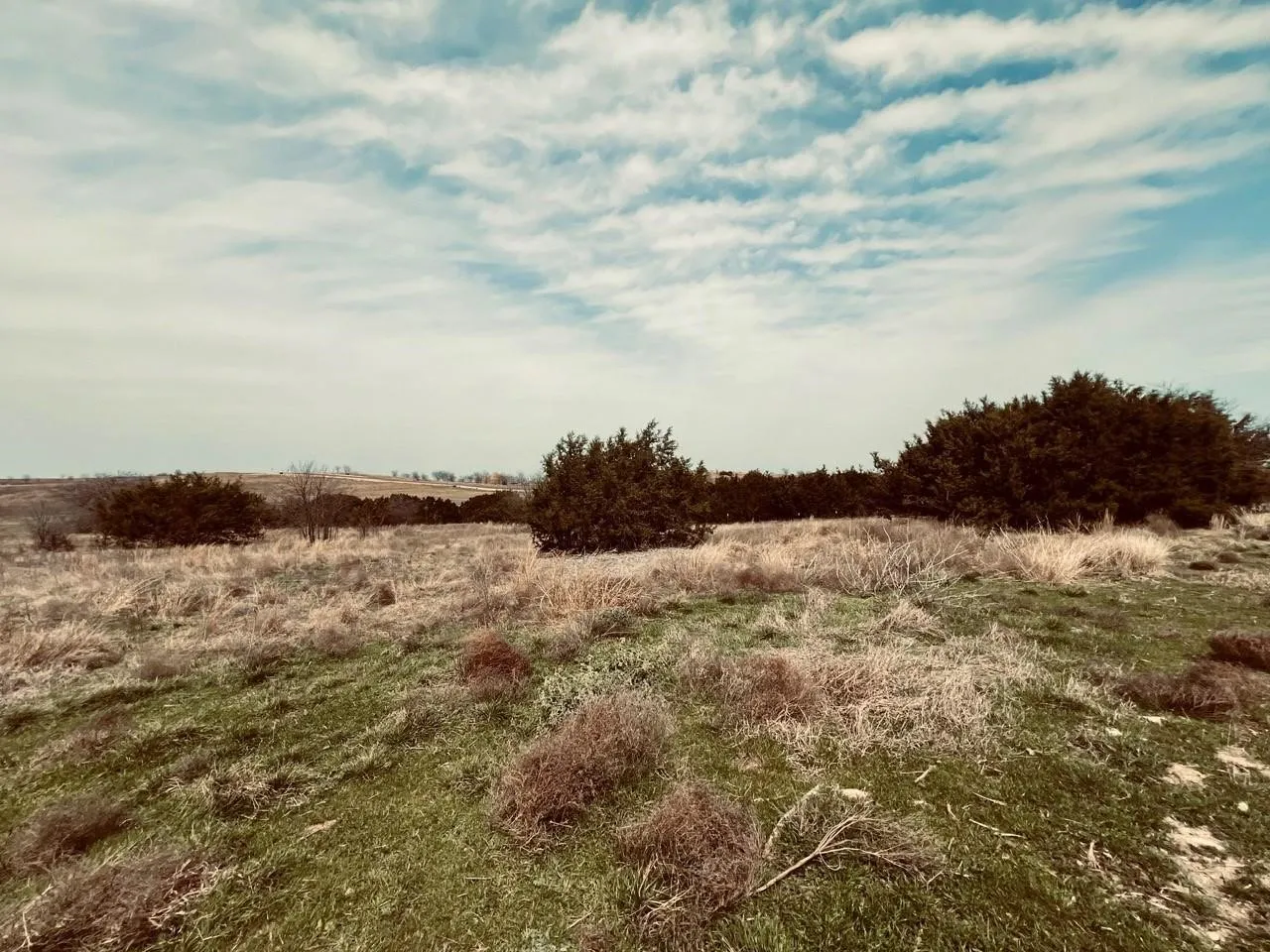 Unimproved Land For Sale in Hood County , 2645 Lucky Pepper, Cresson, Texas 76035, 0, 0, Garage spaces, 0 Sqft, built in 0, mls#21382231, Real Estate Agent in Cresson, Homes For Sale in Hood county, Homes For Sale in Cresson, Realtor in Cresson Texas, Real Estate Brokerage Independent Realty Texas, Luminita Cordes Realtor