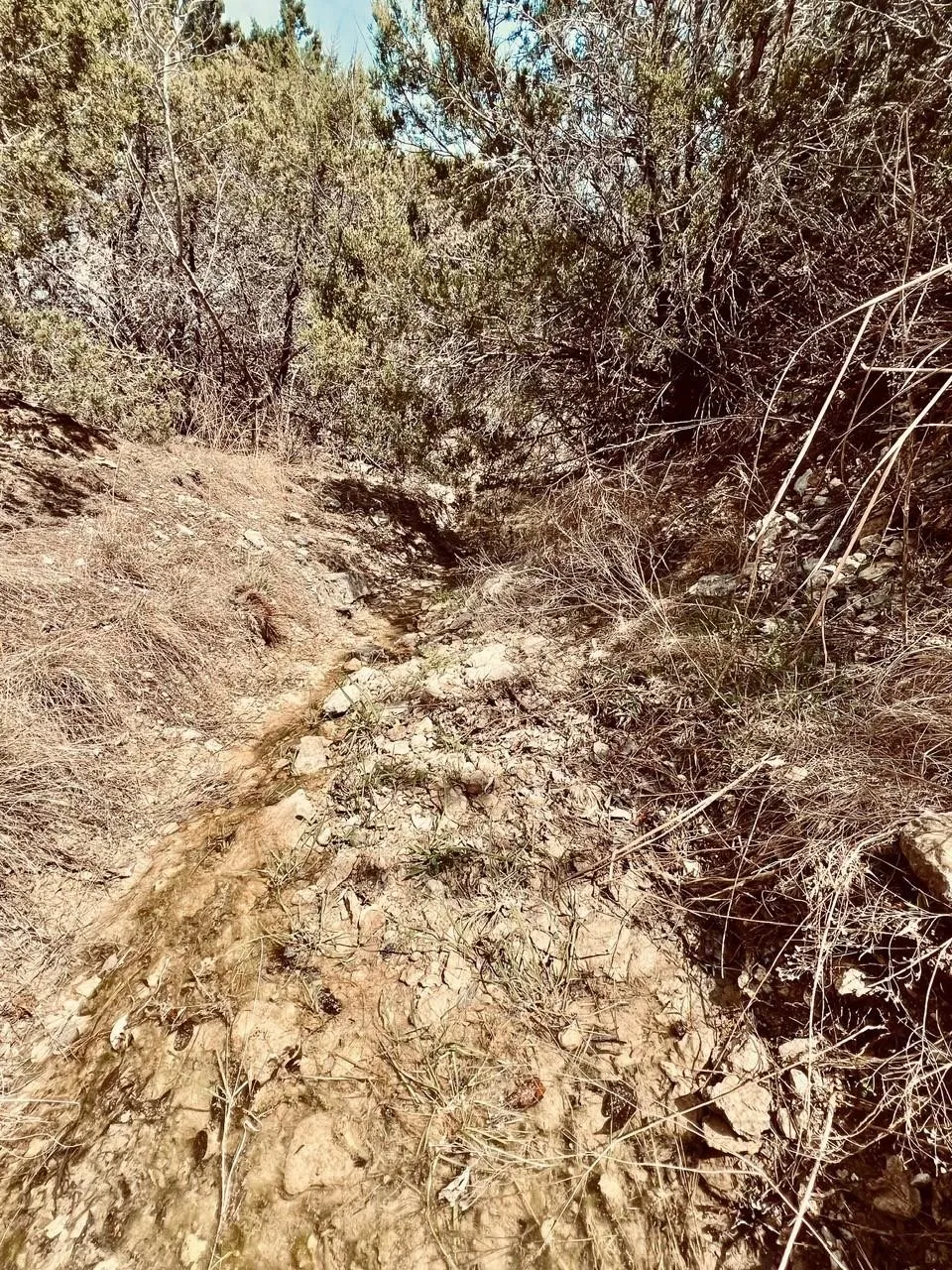 Unimproved Land For Sale in Hood County , 2645 Lucky Pepper, Cresson, Texas 76035, 0, 0, Garage spaces, 0 Sqft, built in 0, mls#21382231, Real Estate Agent in Cresson, Homes For Sale in Hood county, Homes For Sale in Cresson, Realtor in Cresson Texas, Real Estate Brokerage Independent Realty Texas, Luminita Cordes Realtor