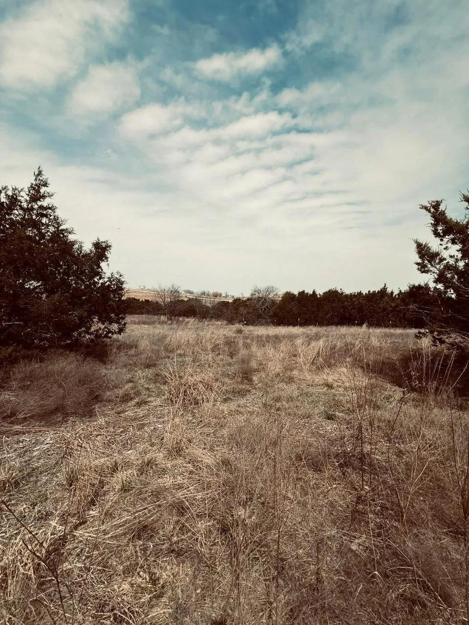 Unimproved Land For Sale in Hood County , 2645 Lucky Pepper, Cresson, Texas 76035, 0, 0, Garage spaces, 0 Sqft, built in 0, mls#21382231, Real Estate Agent in Cresson, Homes For Sale in Hood county, Homes For Sale in Cresson, Realtor in Cresson Texas, Real Estate Brokerage Independent Realty Texas, Luminita Cordes Realtor