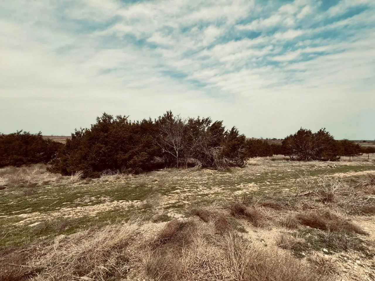 Unimproved Land For Sale in Hood County , 2645 Lucky Pepper, Cresson, Texas 76035, 0, 0, Garage spaces, 0 Sqft, built in 0, mls#21382231, Real Estate Agent in Cresson, Homes For Sale in Hood county, Homes For Sale in Cresson, Realtor in Cresson Texas, Real Estate Brokerage Independent Realty Texas, Luminita Cordes Realtor