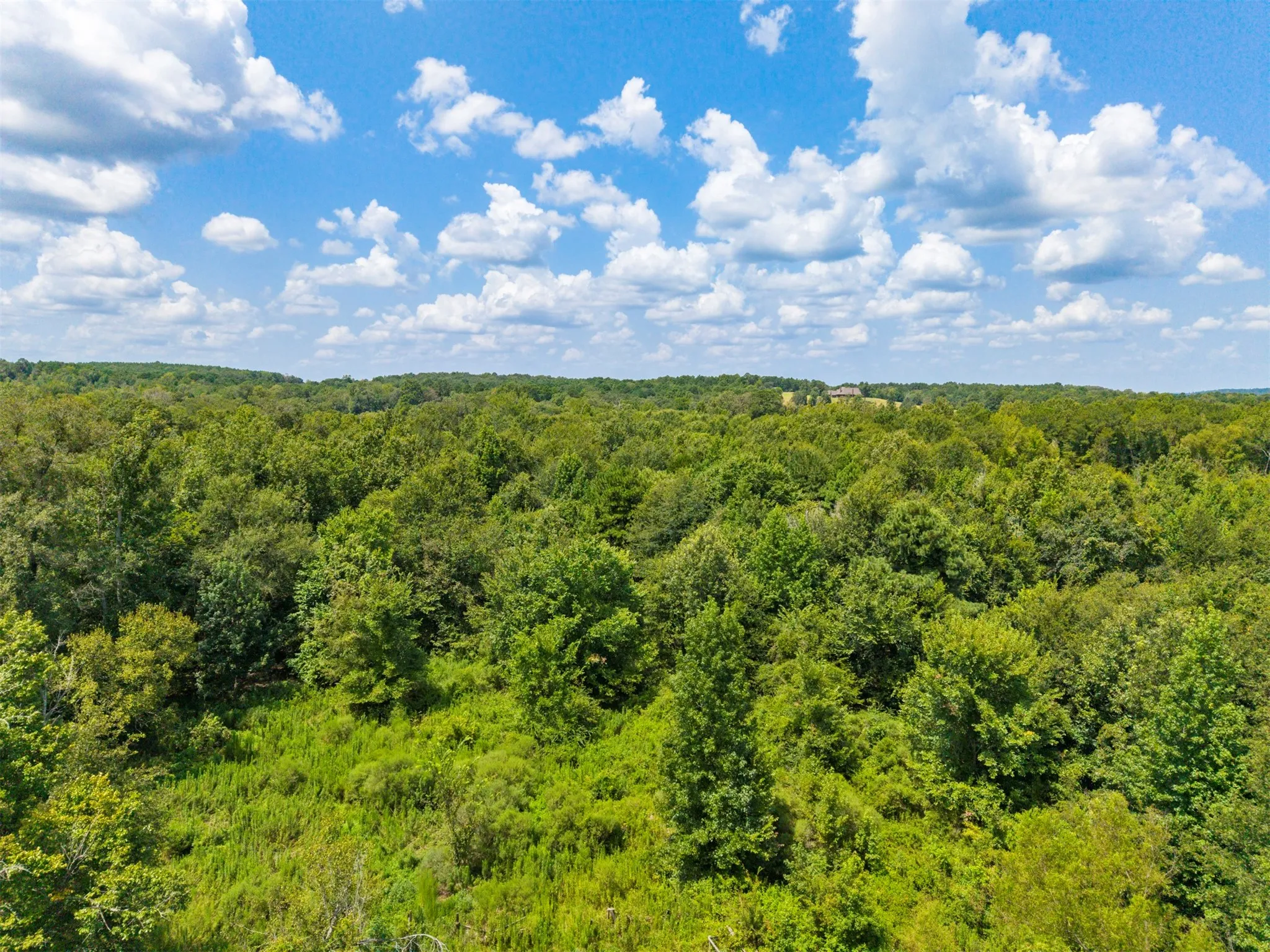 Unimproved Land For Sale in Harrison County , 175 Hickory, Hallsville, Texas 75650, 0, 0, Garage spaces, 0 Sqft, built in 0, mls#21382236, Real Estate Agent in Hallsville, Homes For Sale in Harrison county, Homes For Sale in Hallsville, Realtor in Hallsville Texas, Real Estate Brokerage Independent Realty Texas, Luminita Cordes Realtor
