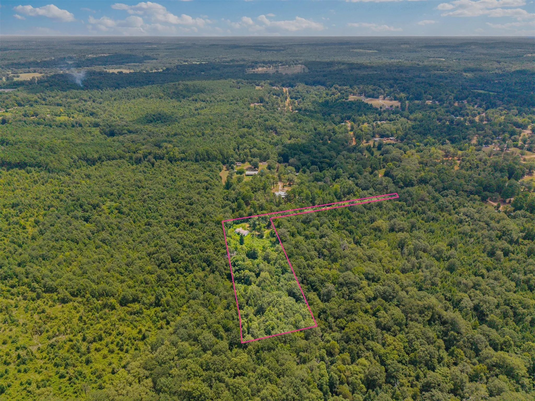 Expansive wooded acreage with clearly defined property boundaries