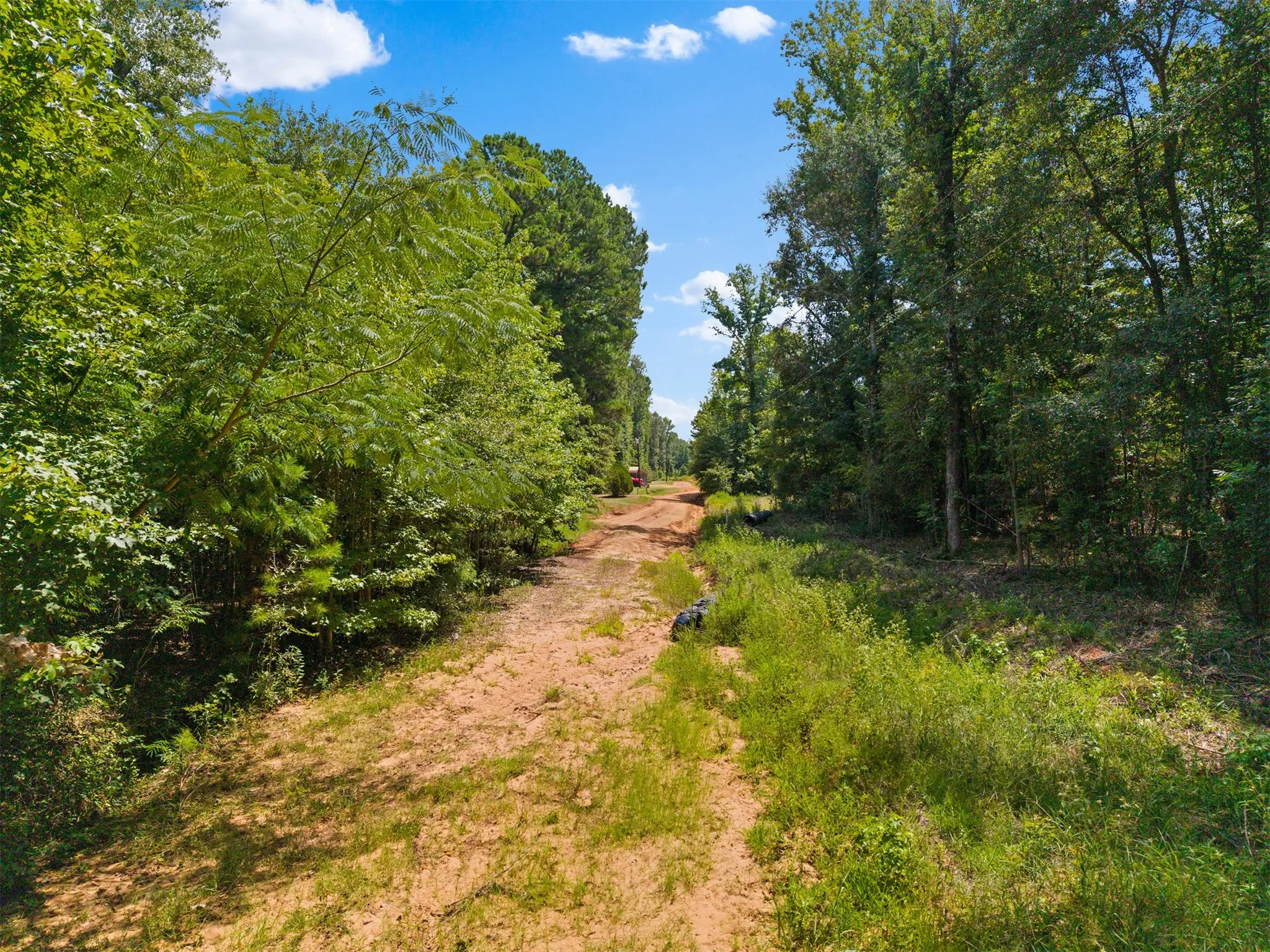 Expansive wooded acreage featuring a cleared path, mature trees, and natural foliage